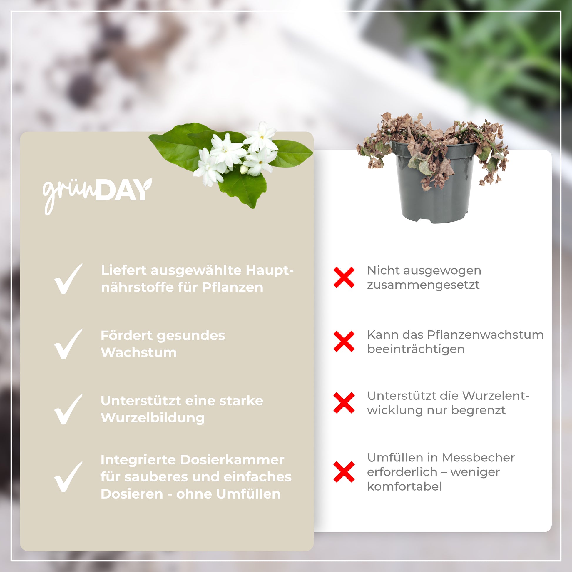 Gründay Jasmindünger – Produktansicht 6