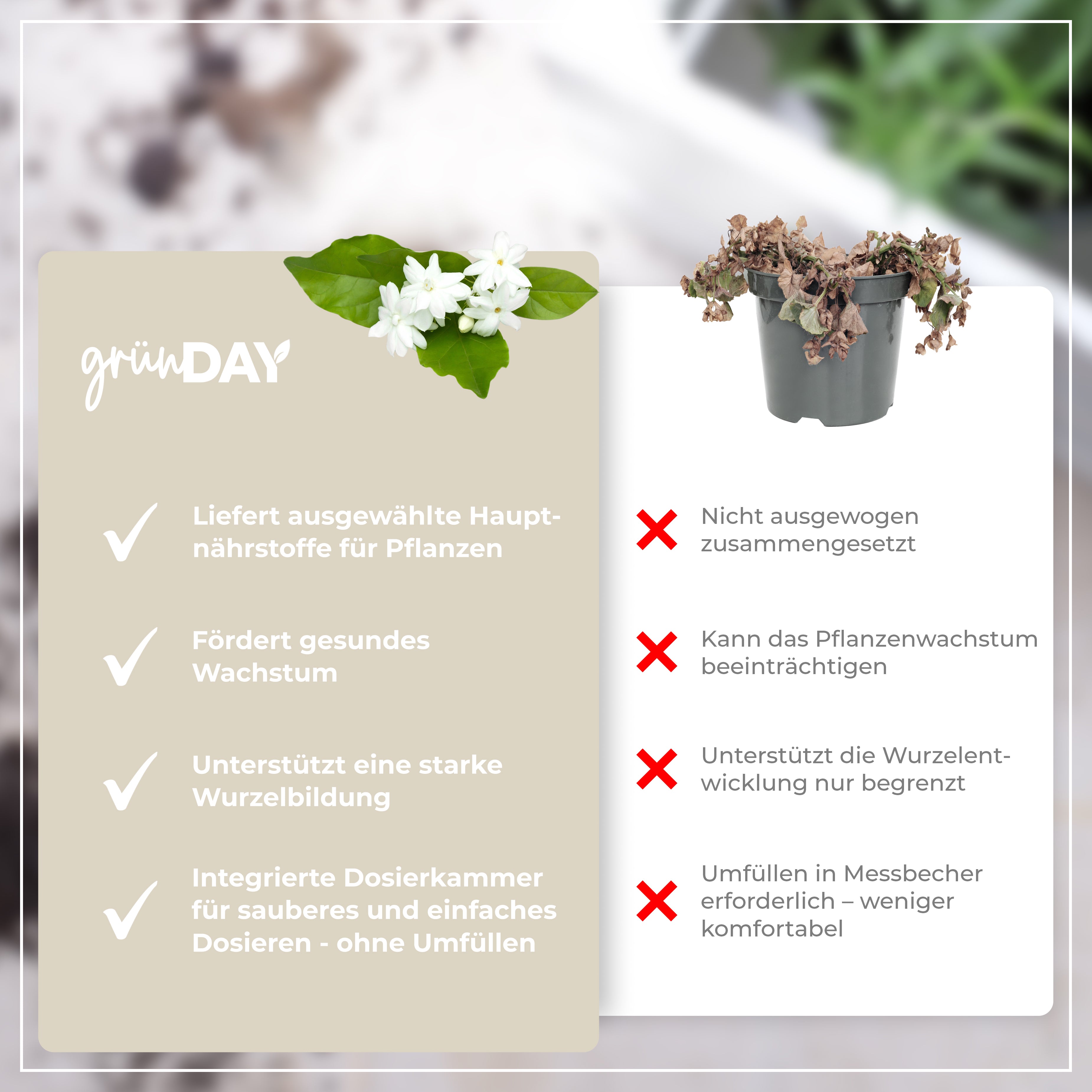 Gründay Jasmindünger – Produktansicht 6
