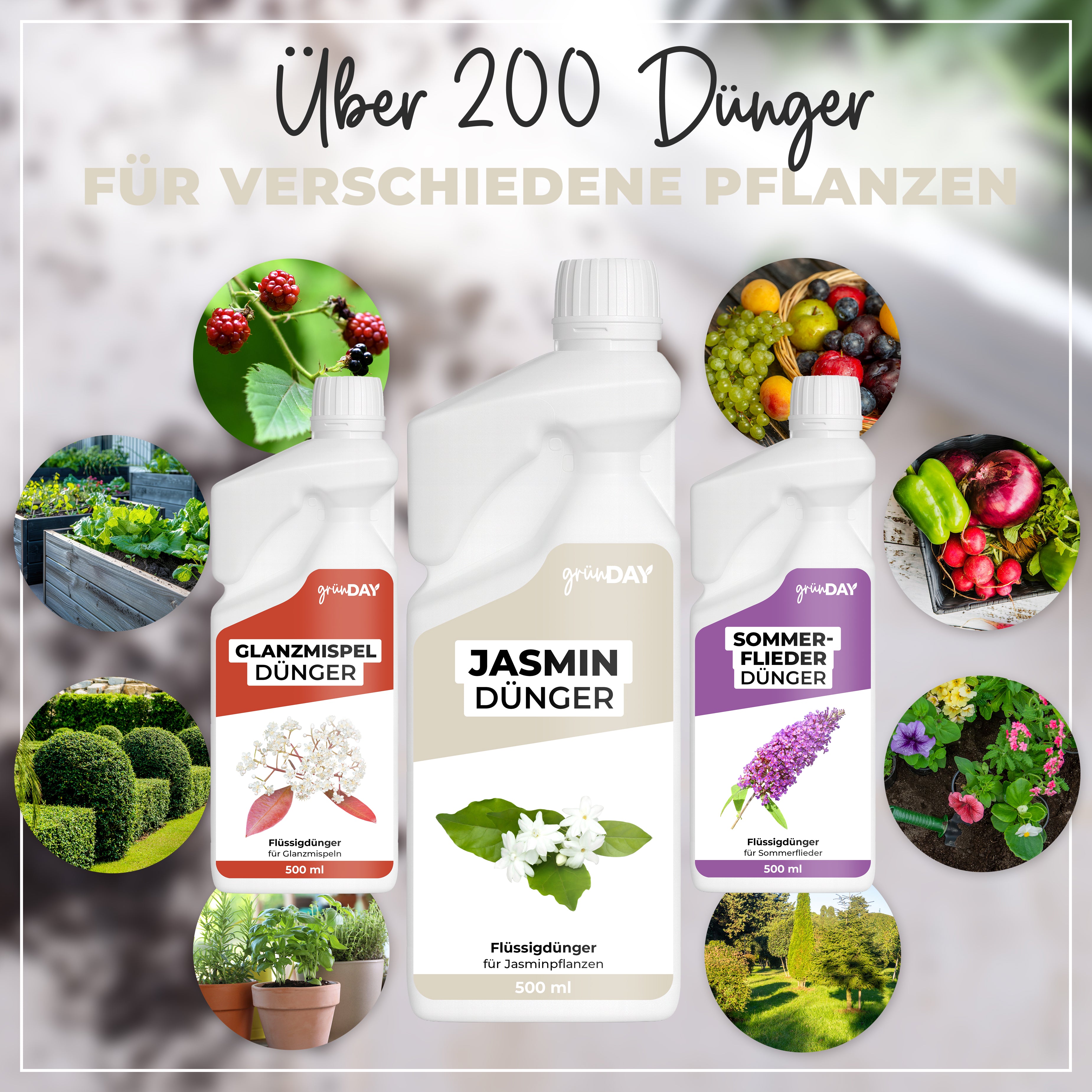 Gründay Jasmindünger – Produktansicht 7