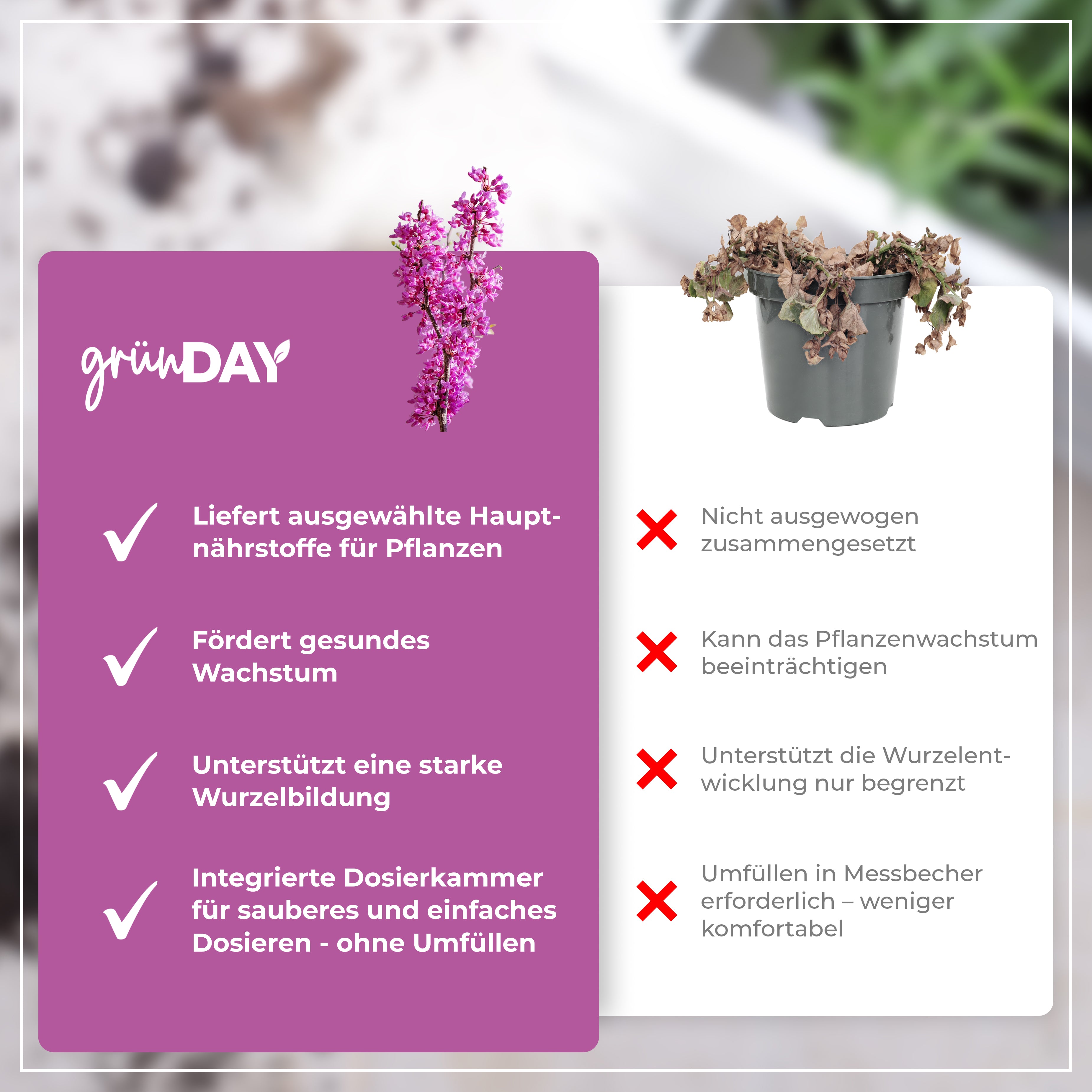 Gründay Judasbaumdünger – Produktansicht 6