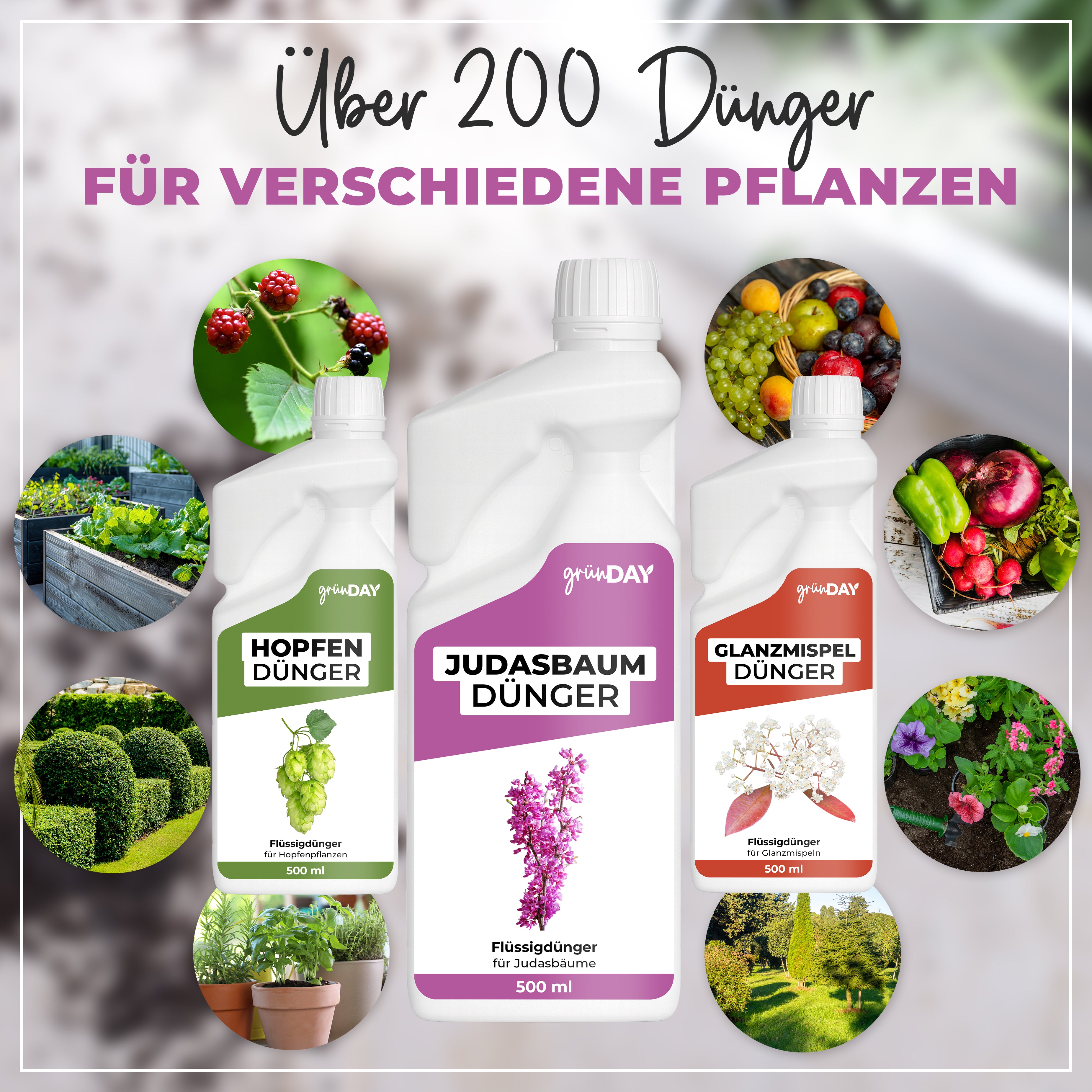 Gründay Judasbaumdünger – Produktansicht 7
