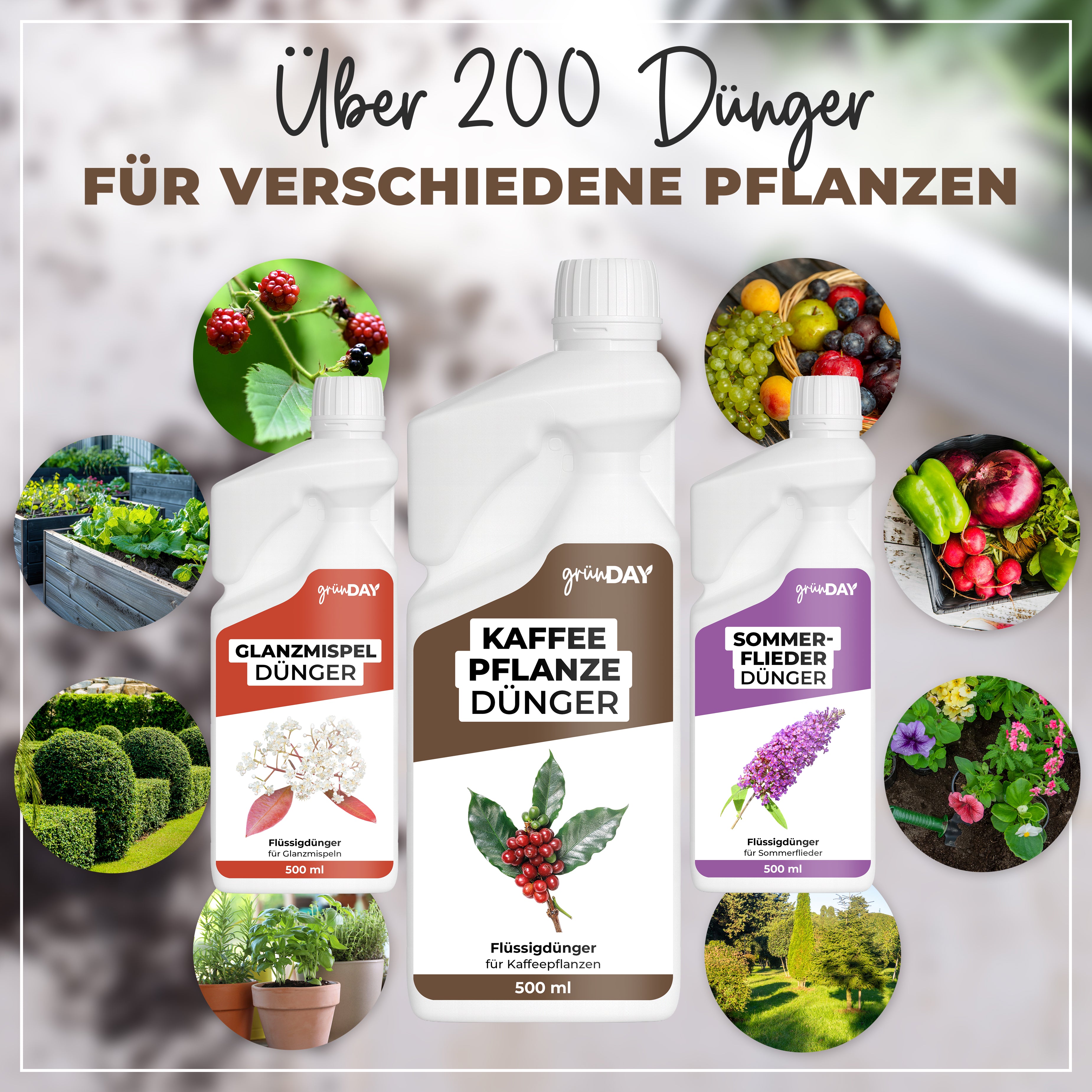 Gründay Kaffeepflanze Dünger – Produktansicht 7