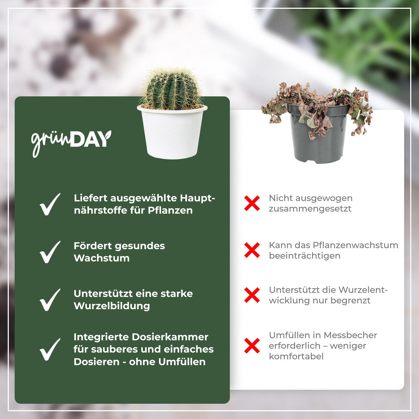 Gründay Kakteendünger – Produktansicht 6
