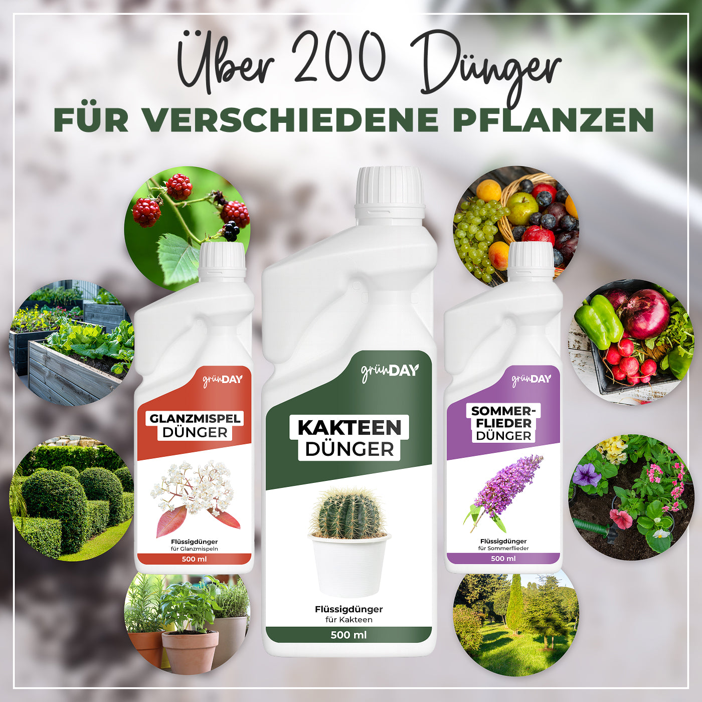 Gründay Kakteendünger – Produktansicht 7