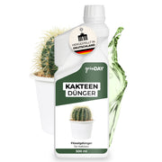 Gründay Kakteendünger – Produktbild