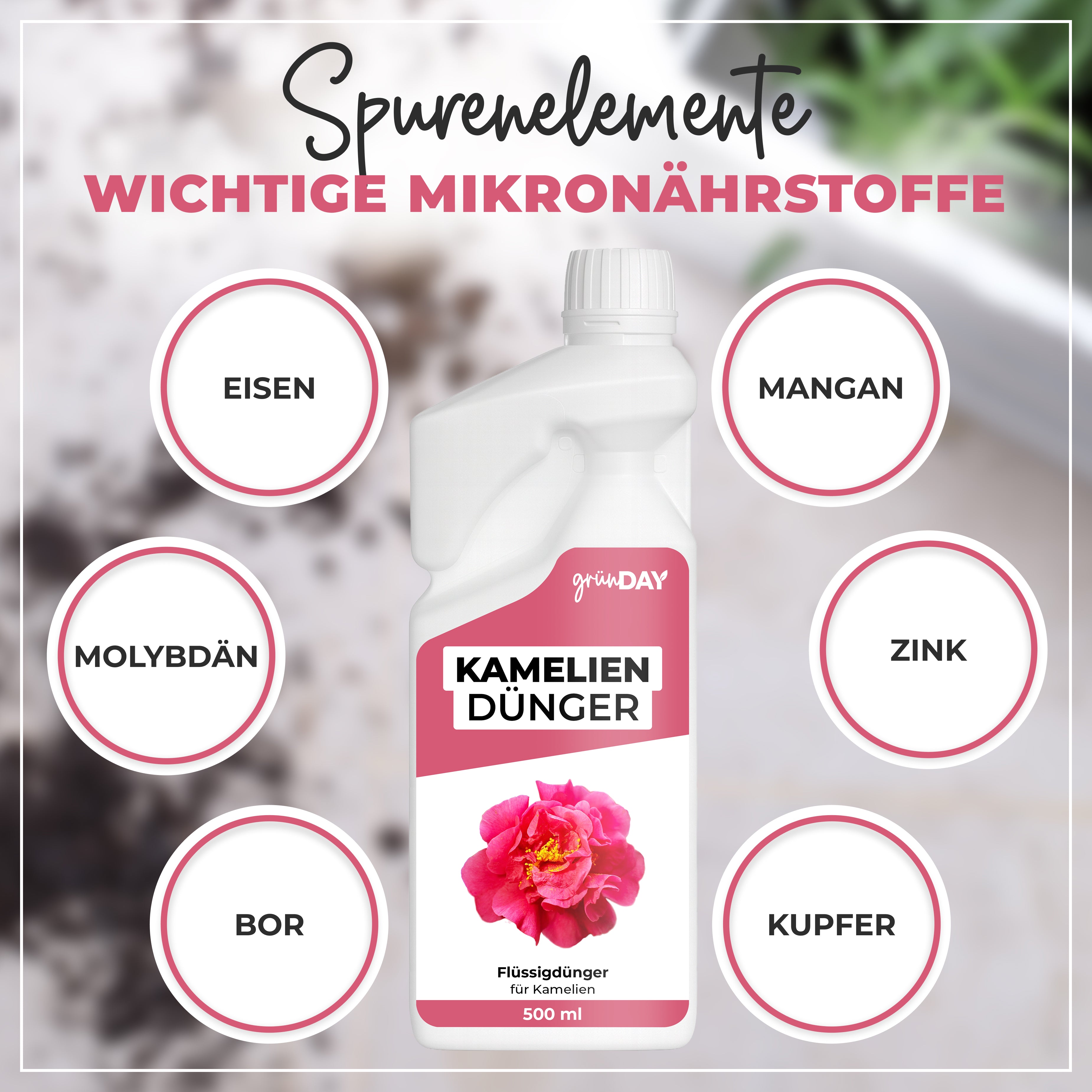 Gründay Kameliendünger – Produktansicht 5
