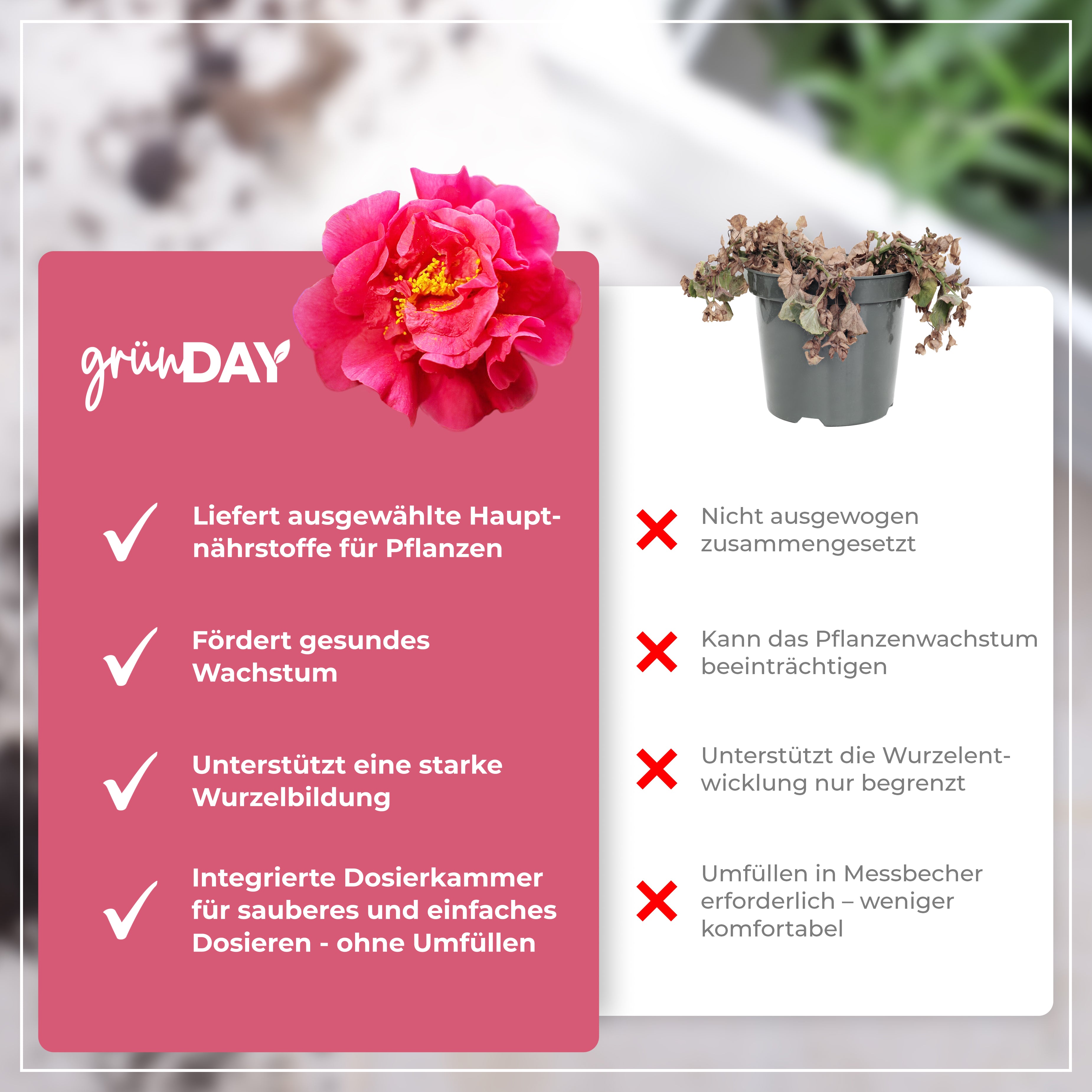 Gründay Kameliendünger – Produktansicht 6