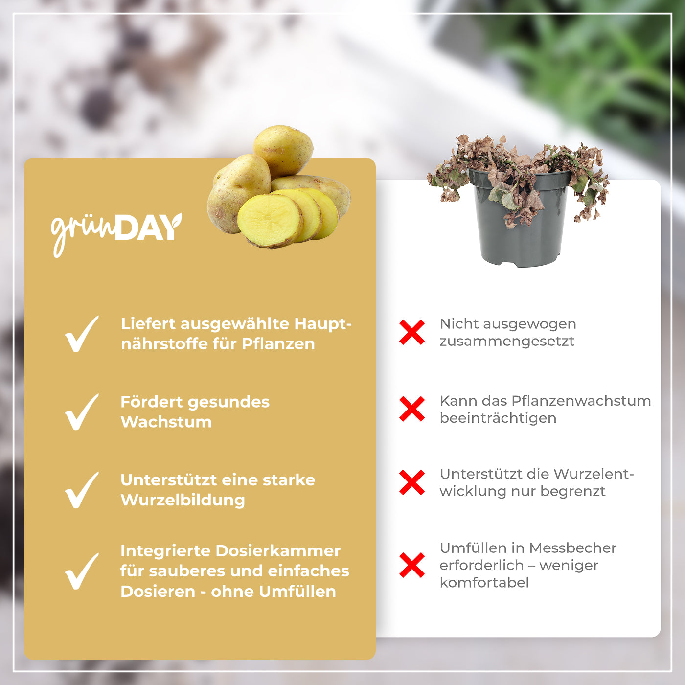 Gründay Kartoffeldünger – Produktansicht 6