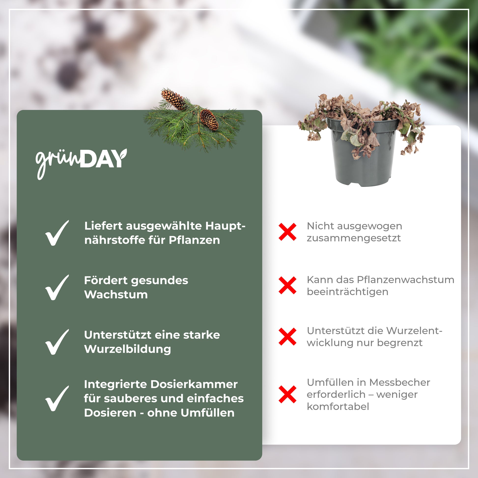 Gründay Kieferdünger – Produktansicht 6