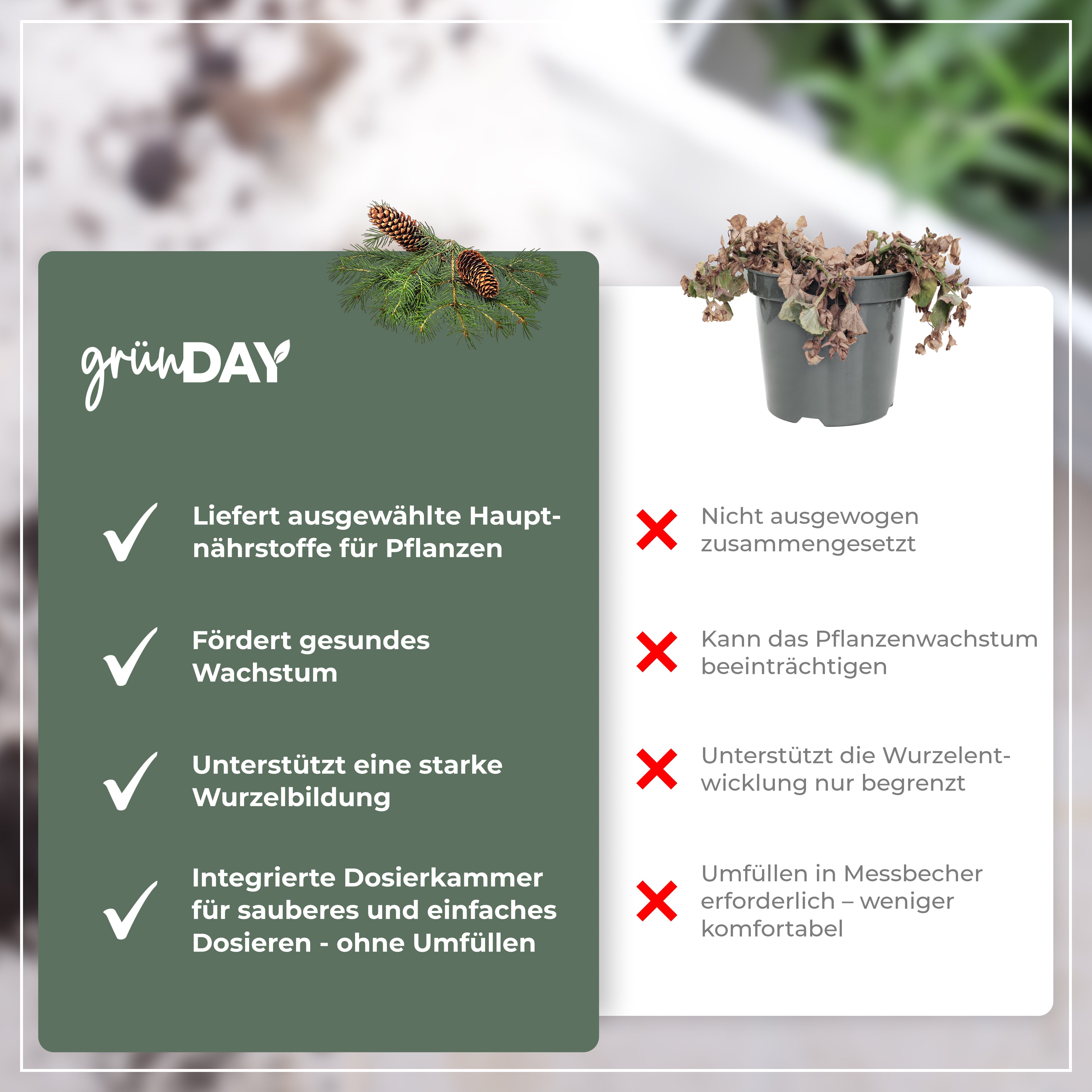 Gründay Kieferdünger – Produktansicht 6
