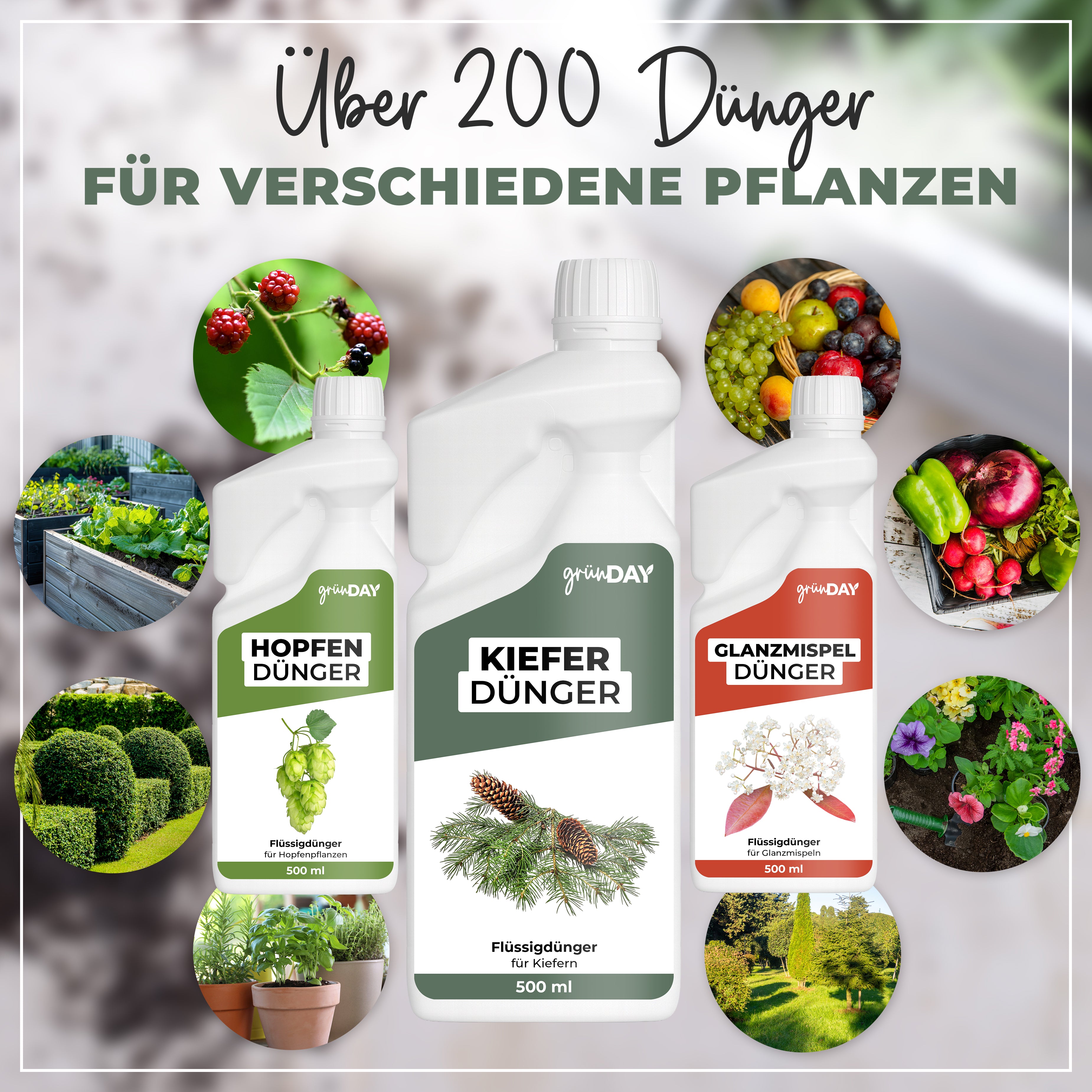 Gründay Kieferdünger – Produktansicht 7