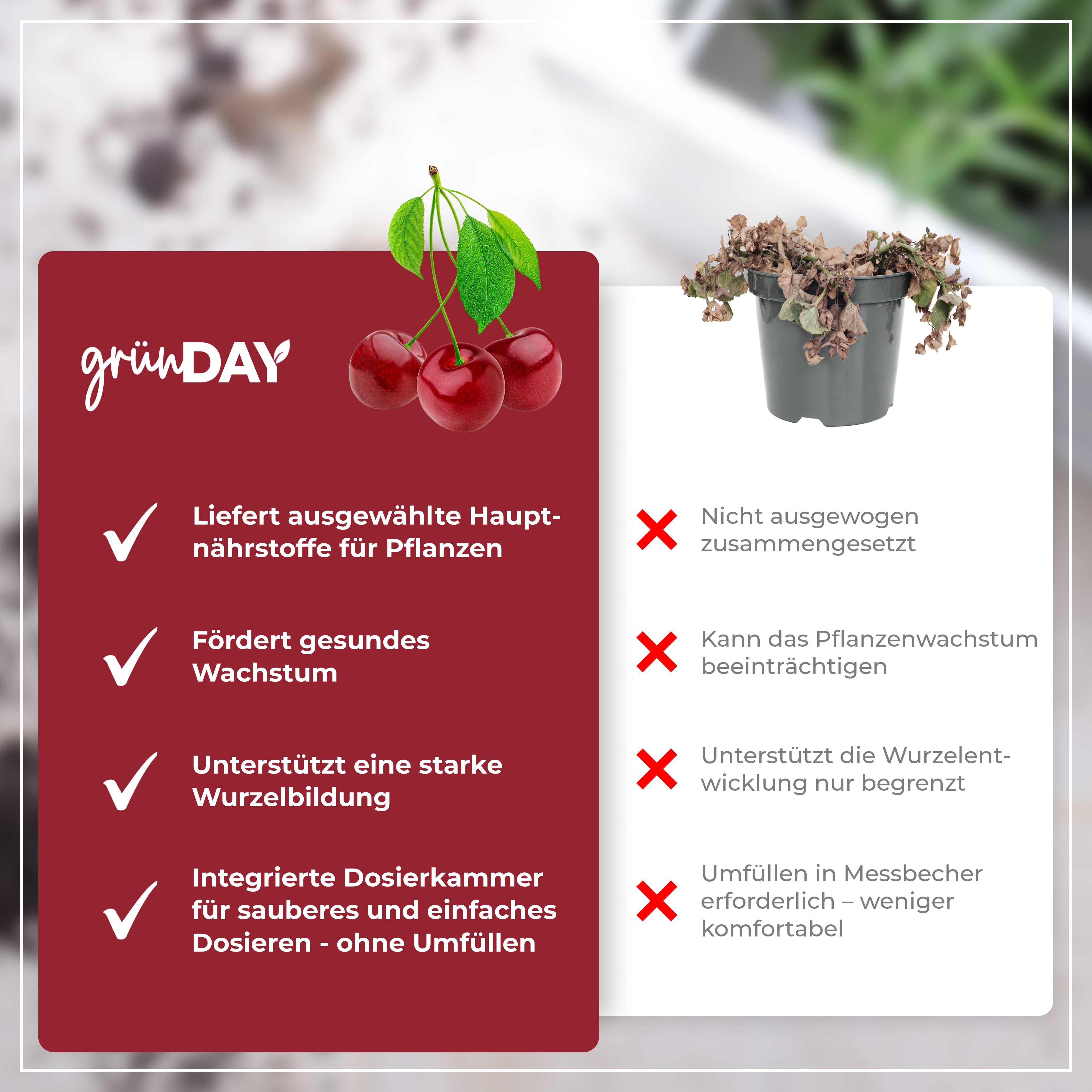 Gründay Kirschbaumdünger – Produktansicht 6