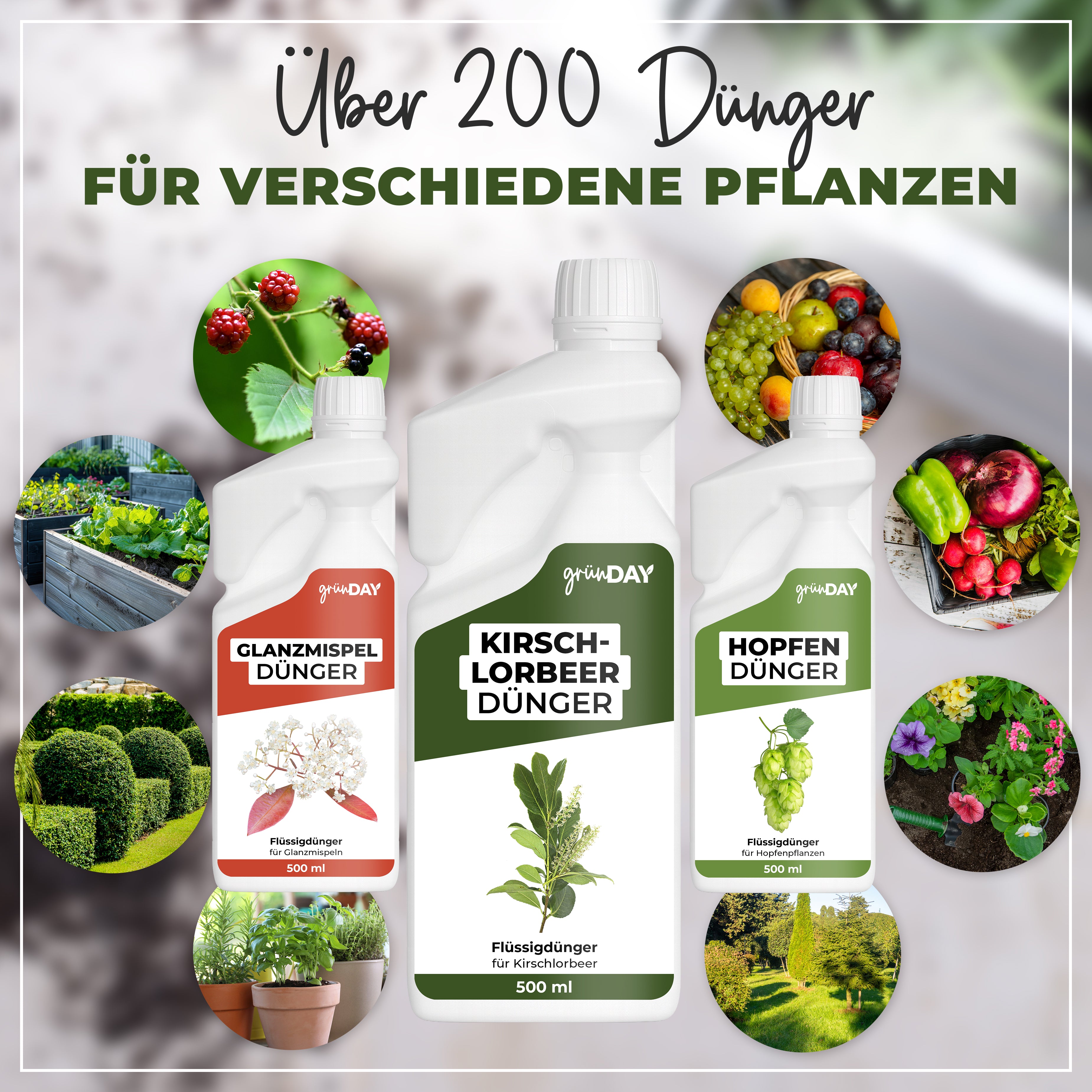 Gründay Kirschlorbeerdünger – Produktansicht 7