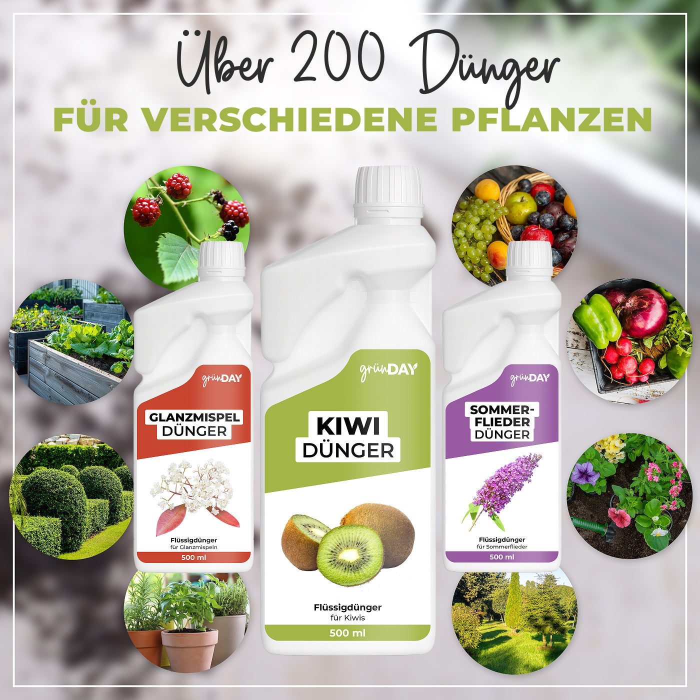 Gründay Kiwidünger – Produktansicht 7