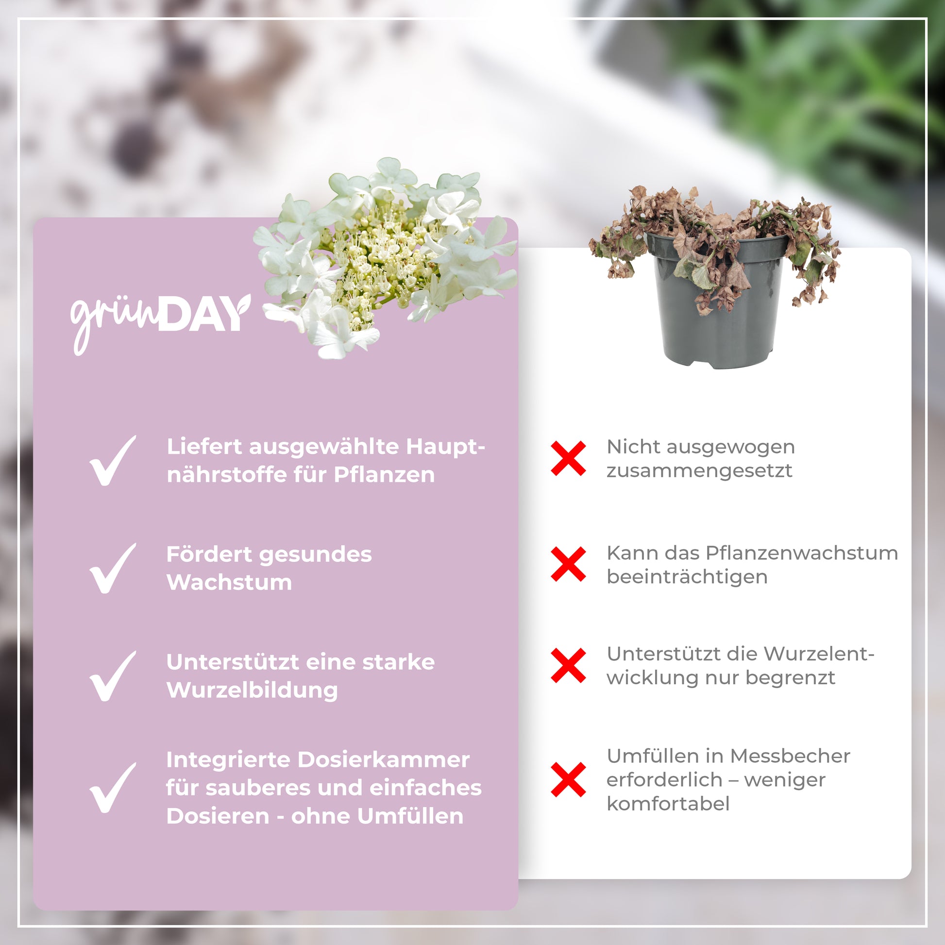 Gründay Kletterhortensie Dünger – Produktansicht 6