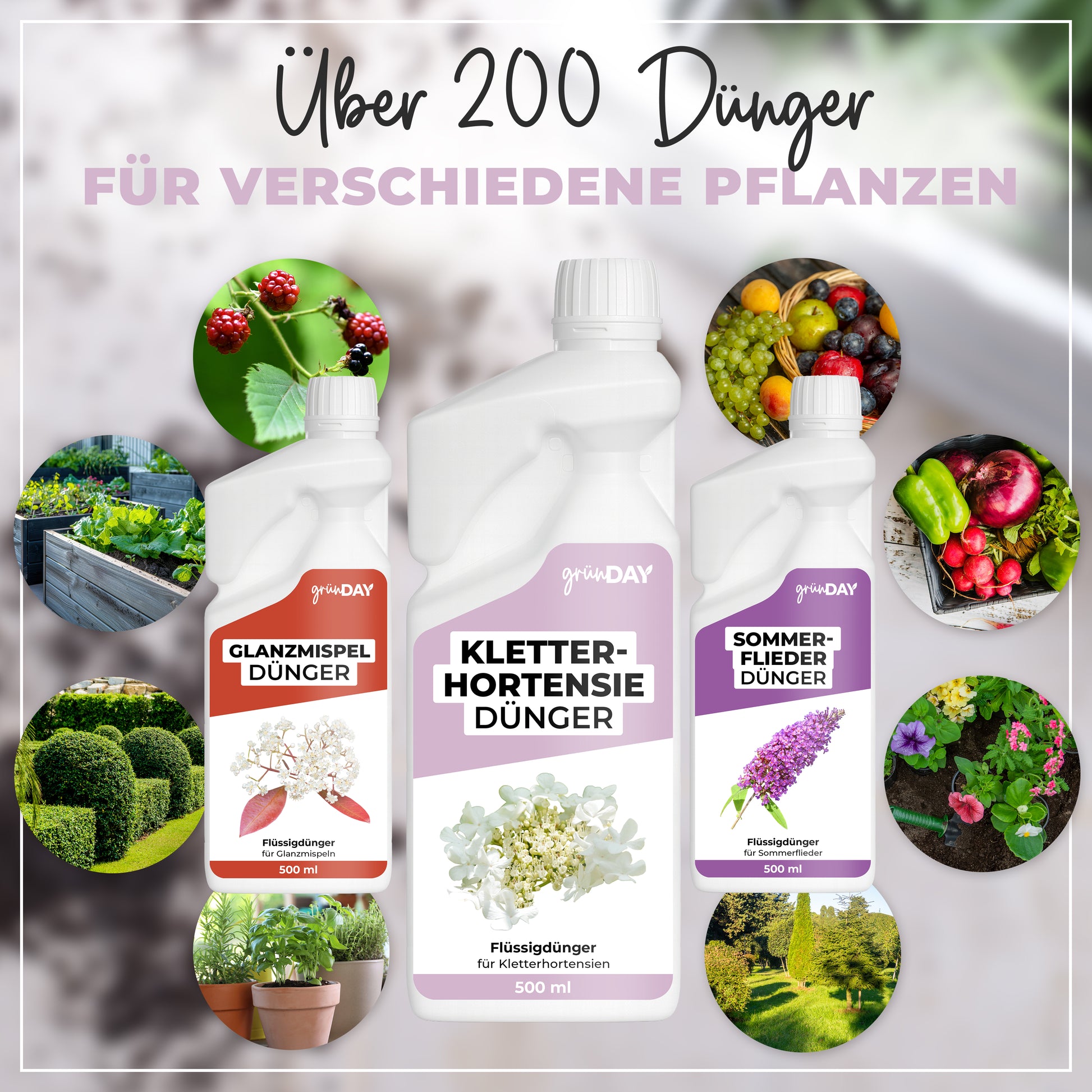 Gründay Kletterhortensie Dünger – Produktansicht 7