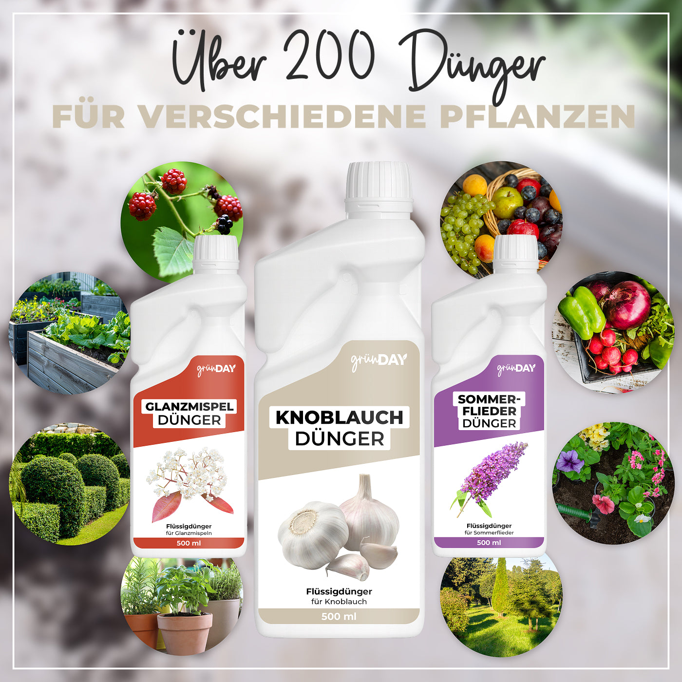 Gründay Knoblauchdünger – Produktansicht 7