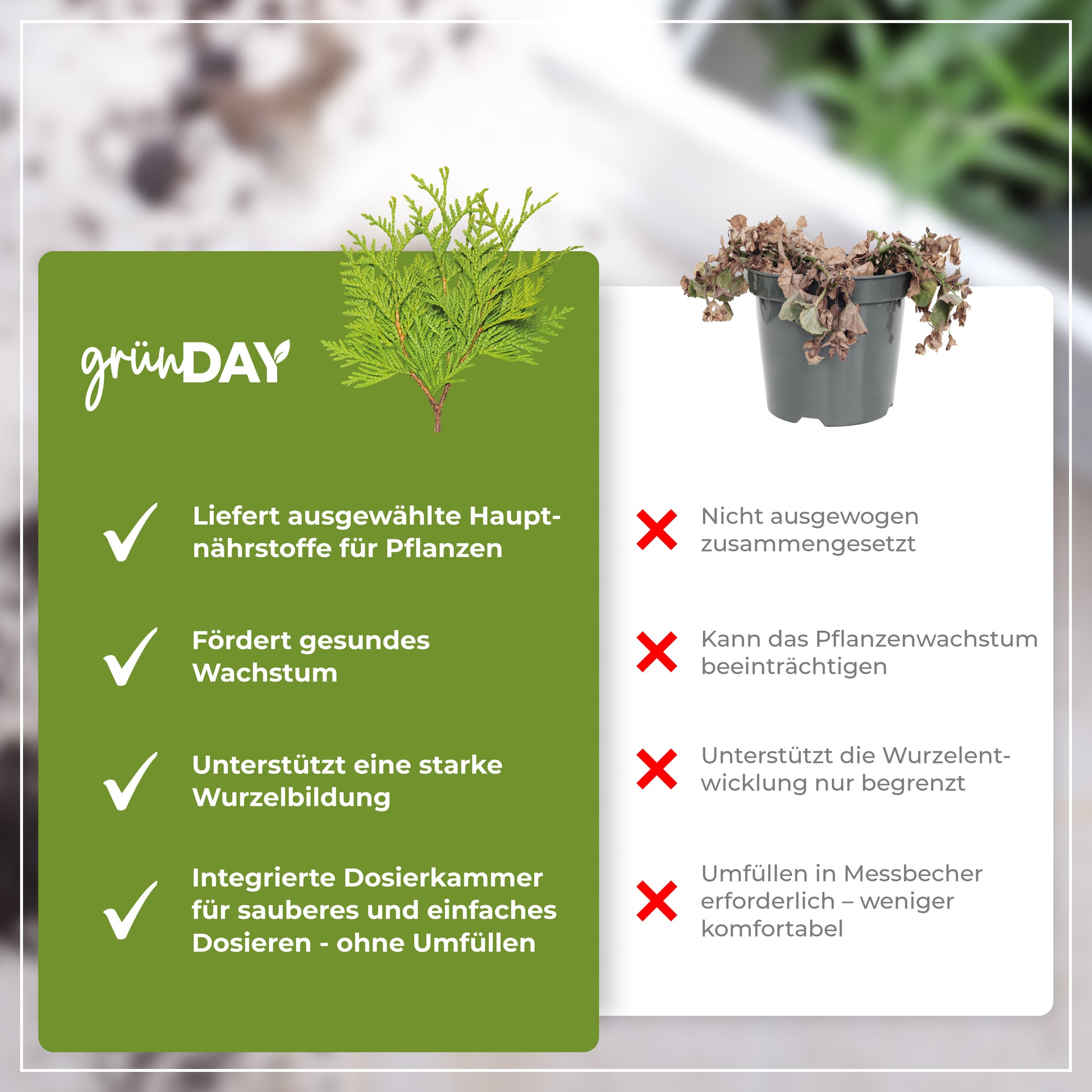 Gründay Koniferendünger – Produktansicht 6