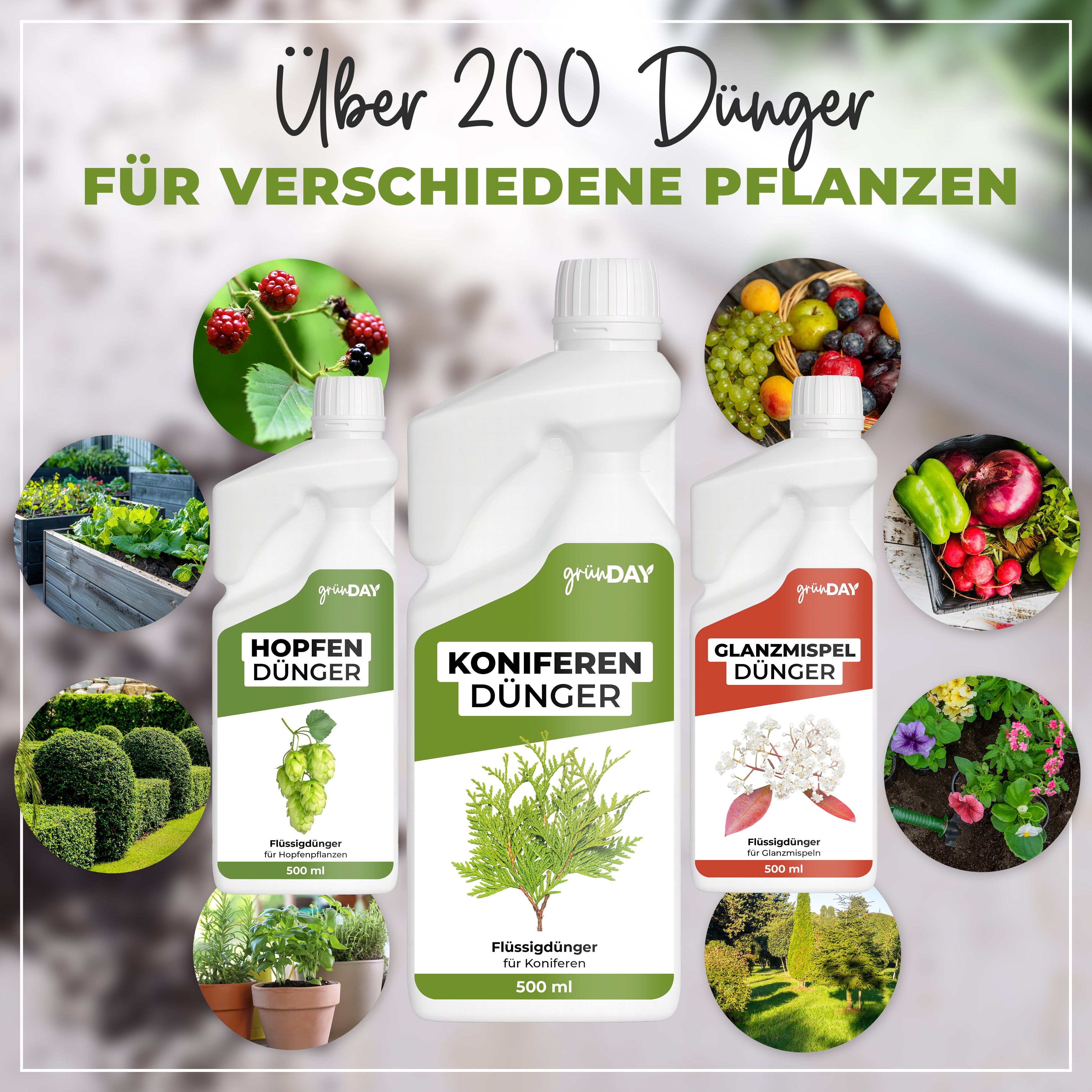 Gründay Koniferendünger – Produktansicht 7