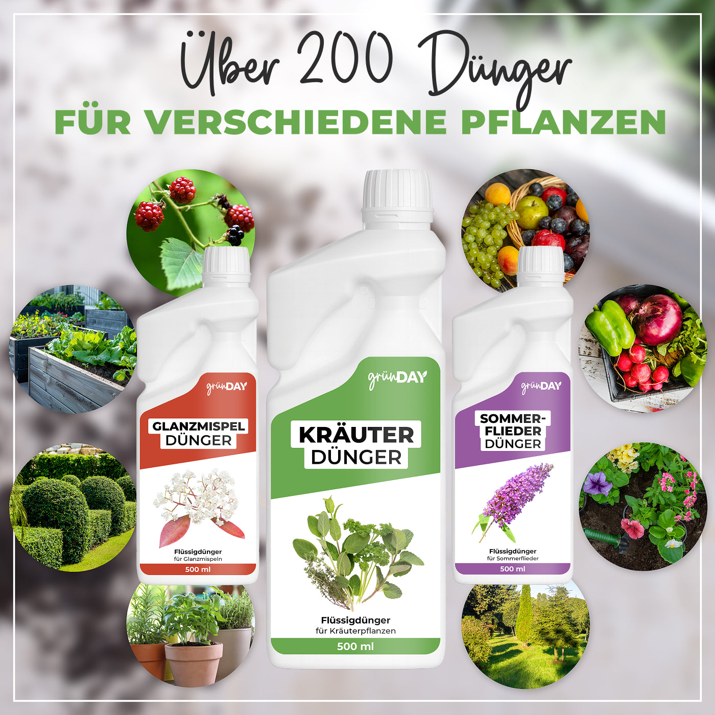 Gründay Kräuterdünger – Produktansicht 7