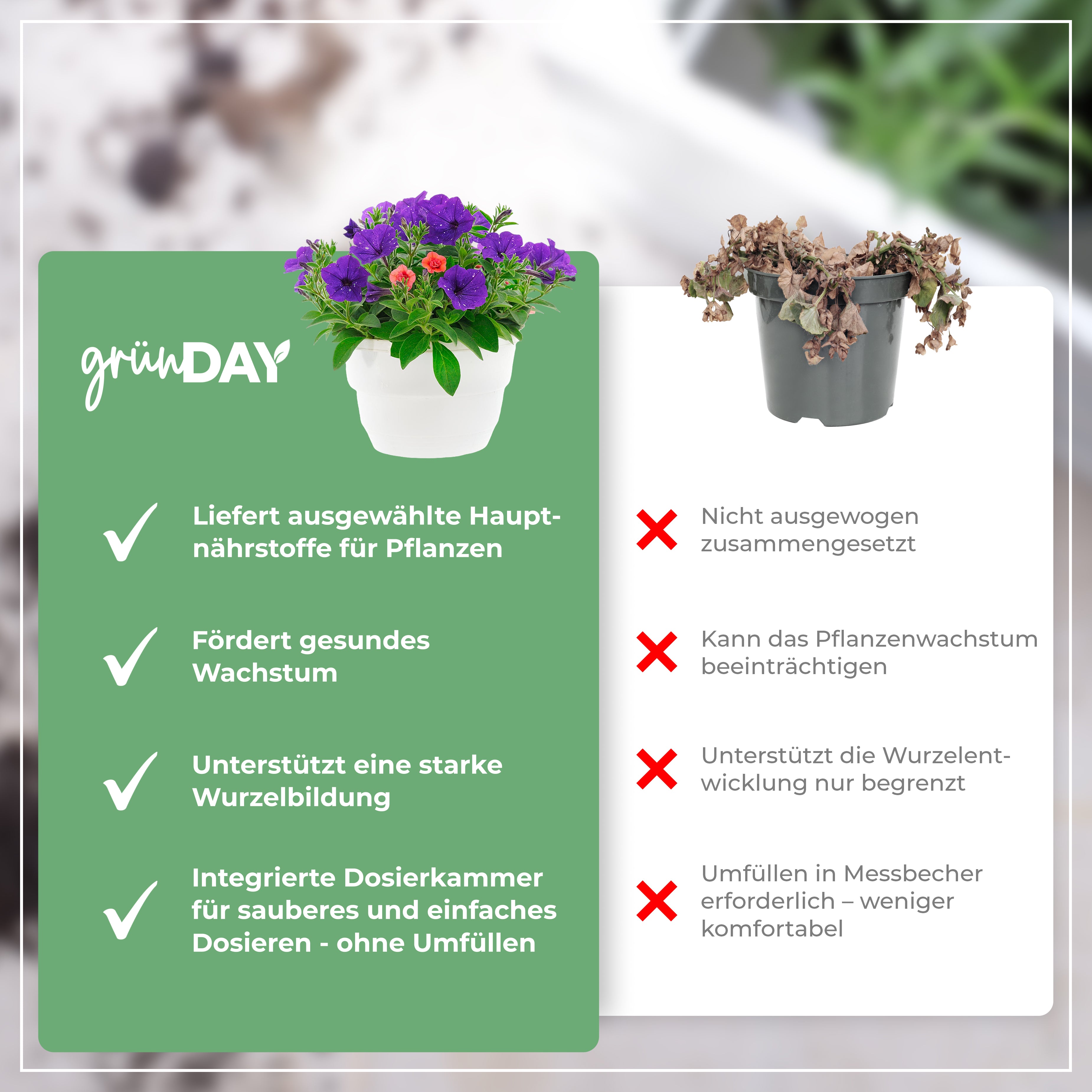 Gründay Kübelpflanzendünger – Produktansicht 6