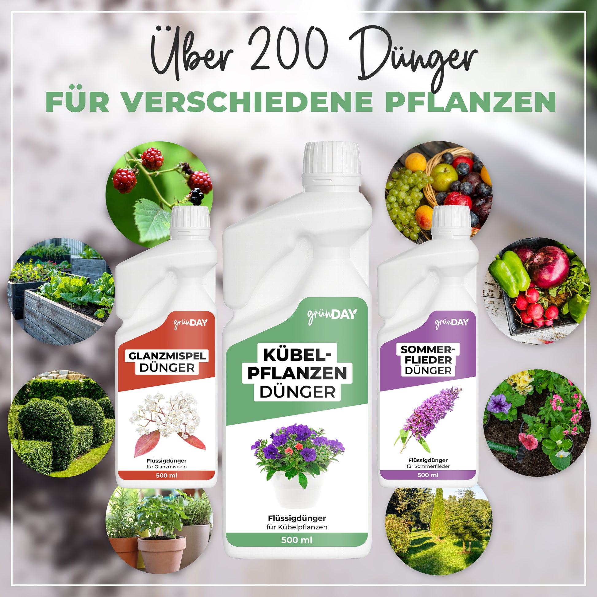 Gründay Kübelpflanzendünger – Produktansicht 7