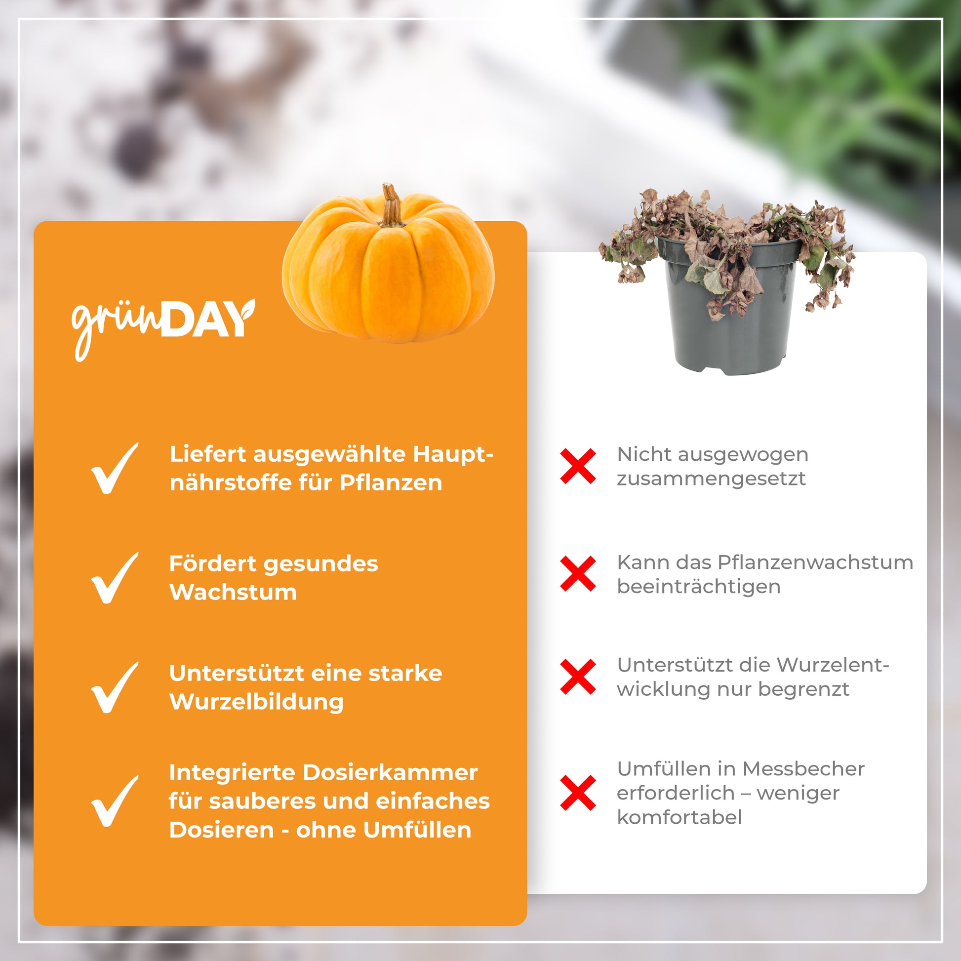 Gründay Kürbisdünger – Produktansicht 6