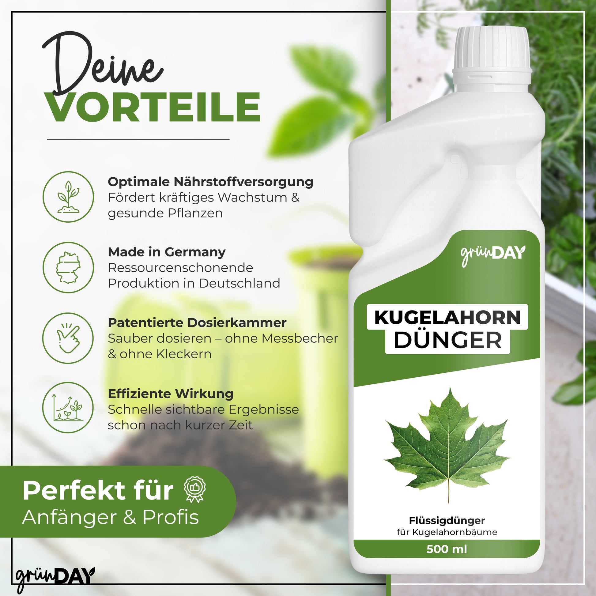 Gründay Kugelahorn Dünger – Produktansicht 2