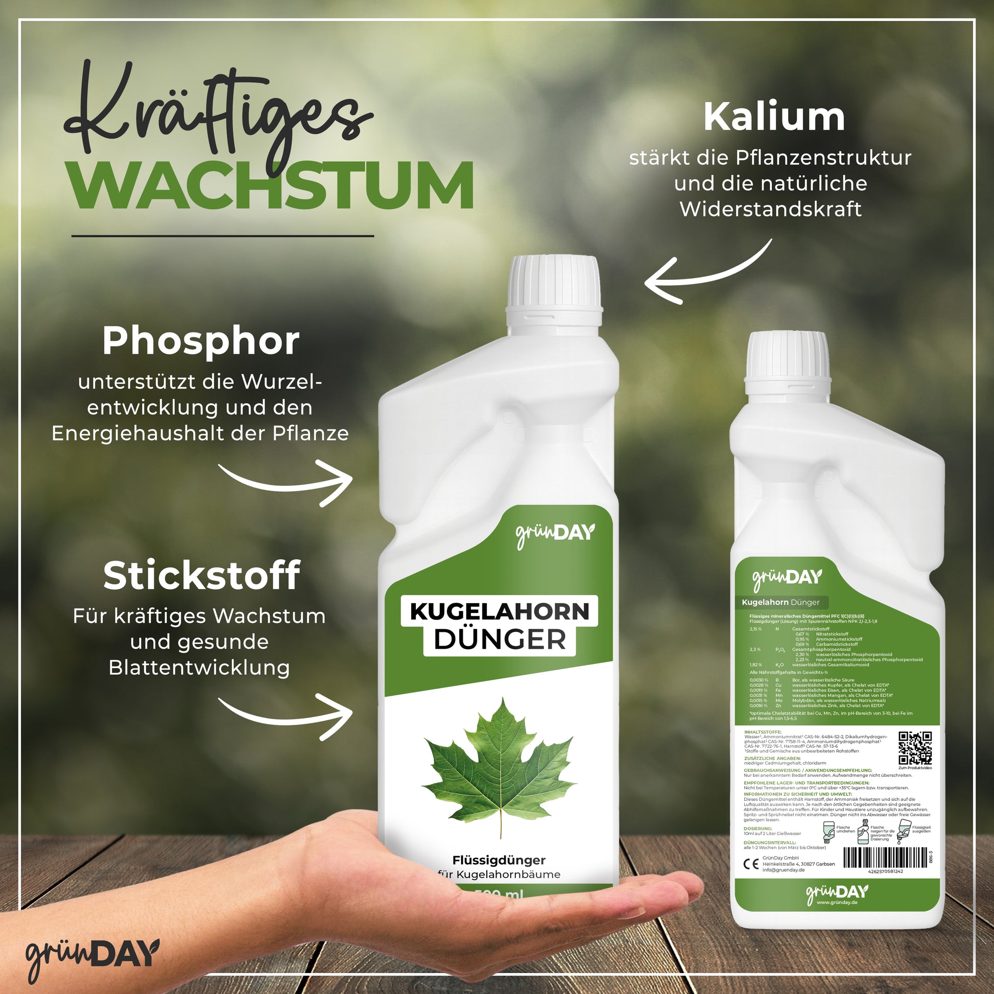 Gründay Kugelahorn Dünger – Produktansicht 4