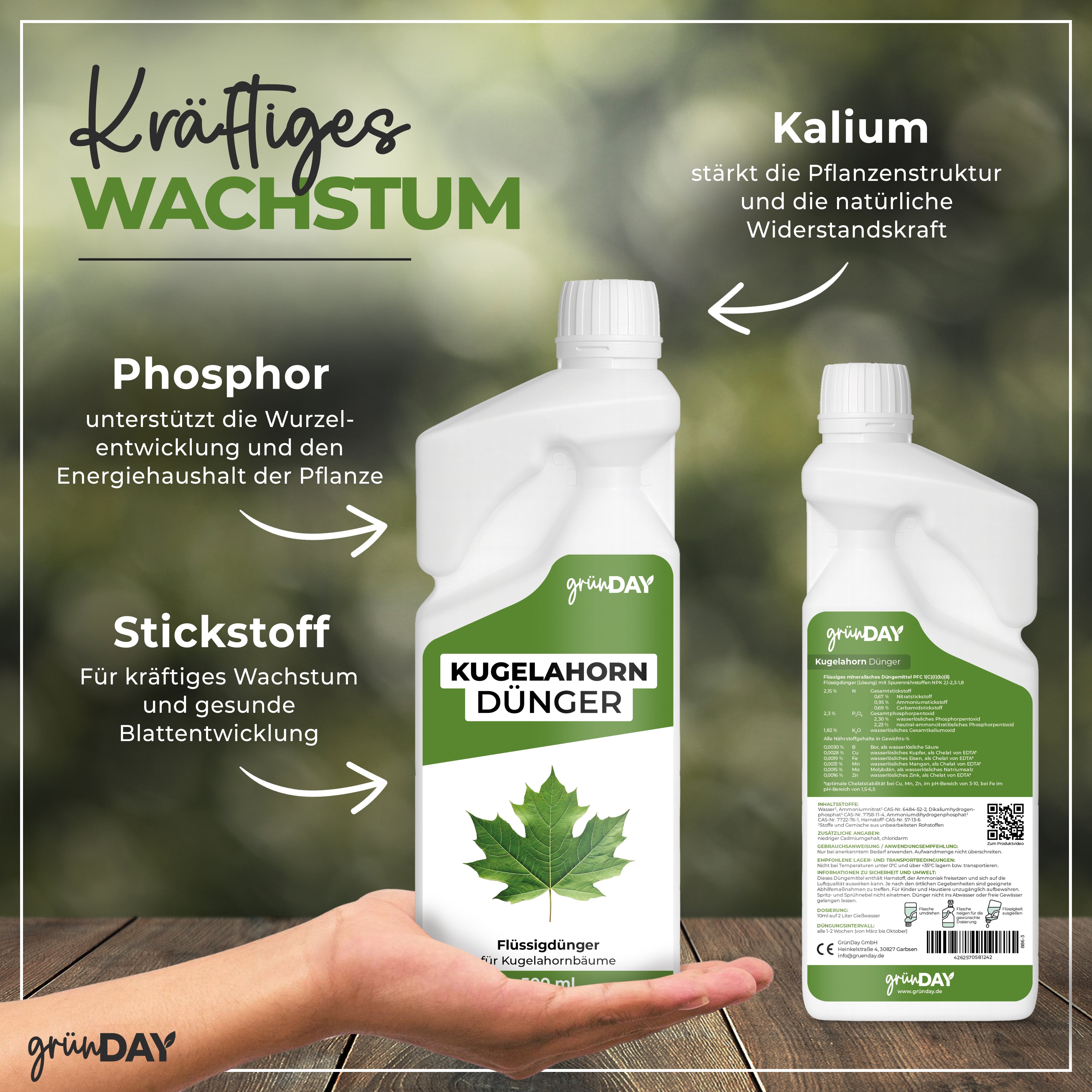 Gründay Kugelahorn Dünger – Produktansicht 4
