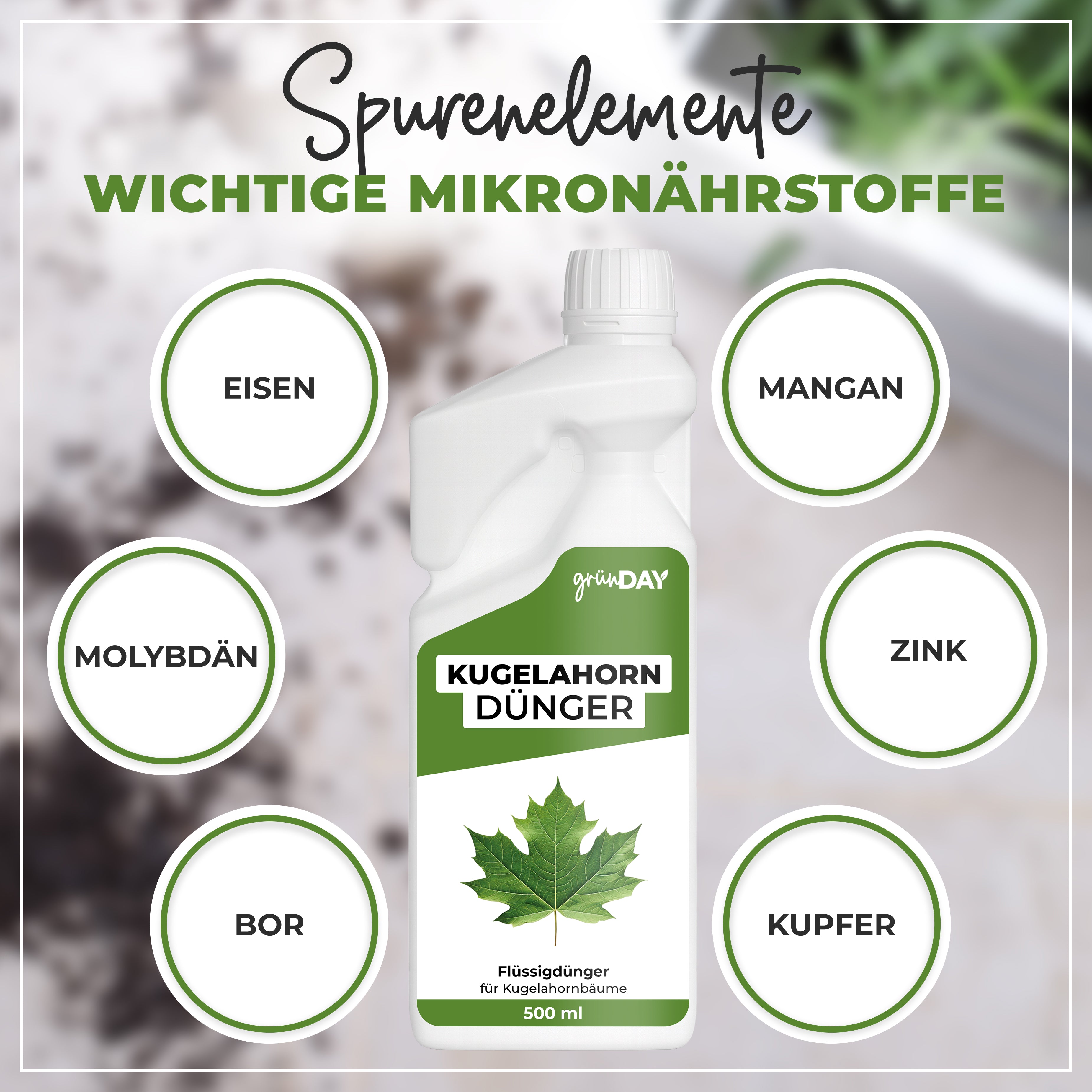 Gründay Kugelahorn Dünger – Produktansicht 5