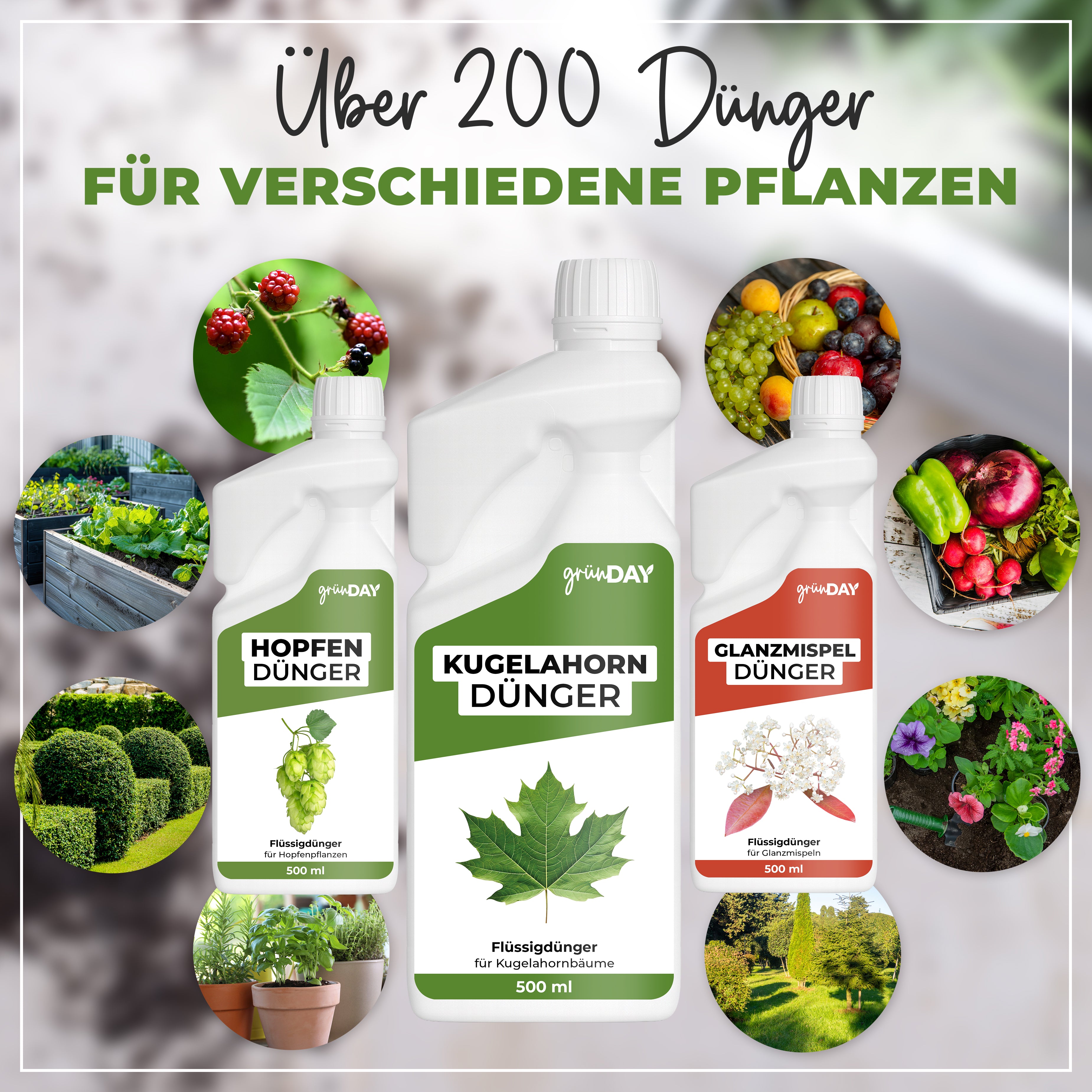 Gründay Kugelahorn Dünger – Produktansicht 7