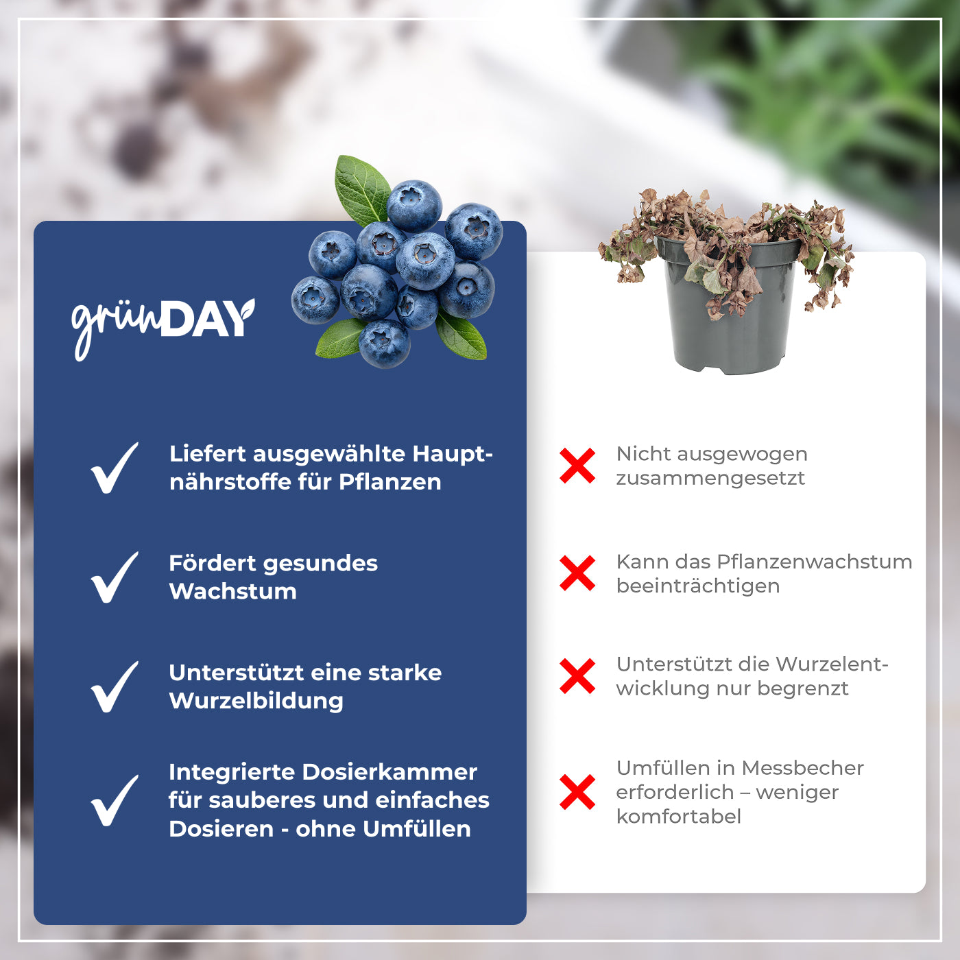 Gründay Kulturheidelbeerendünger – Produktansicht 6