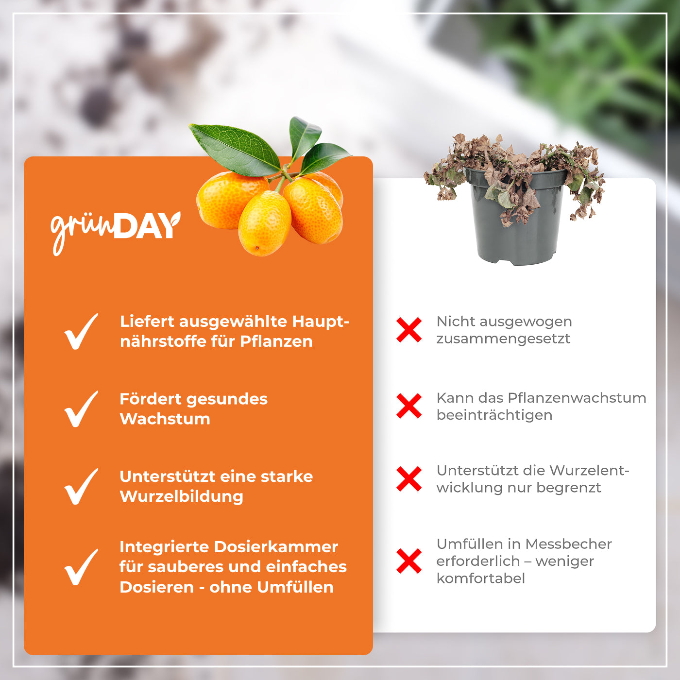 Gründay Kumquatdünger – Produktansicht 6