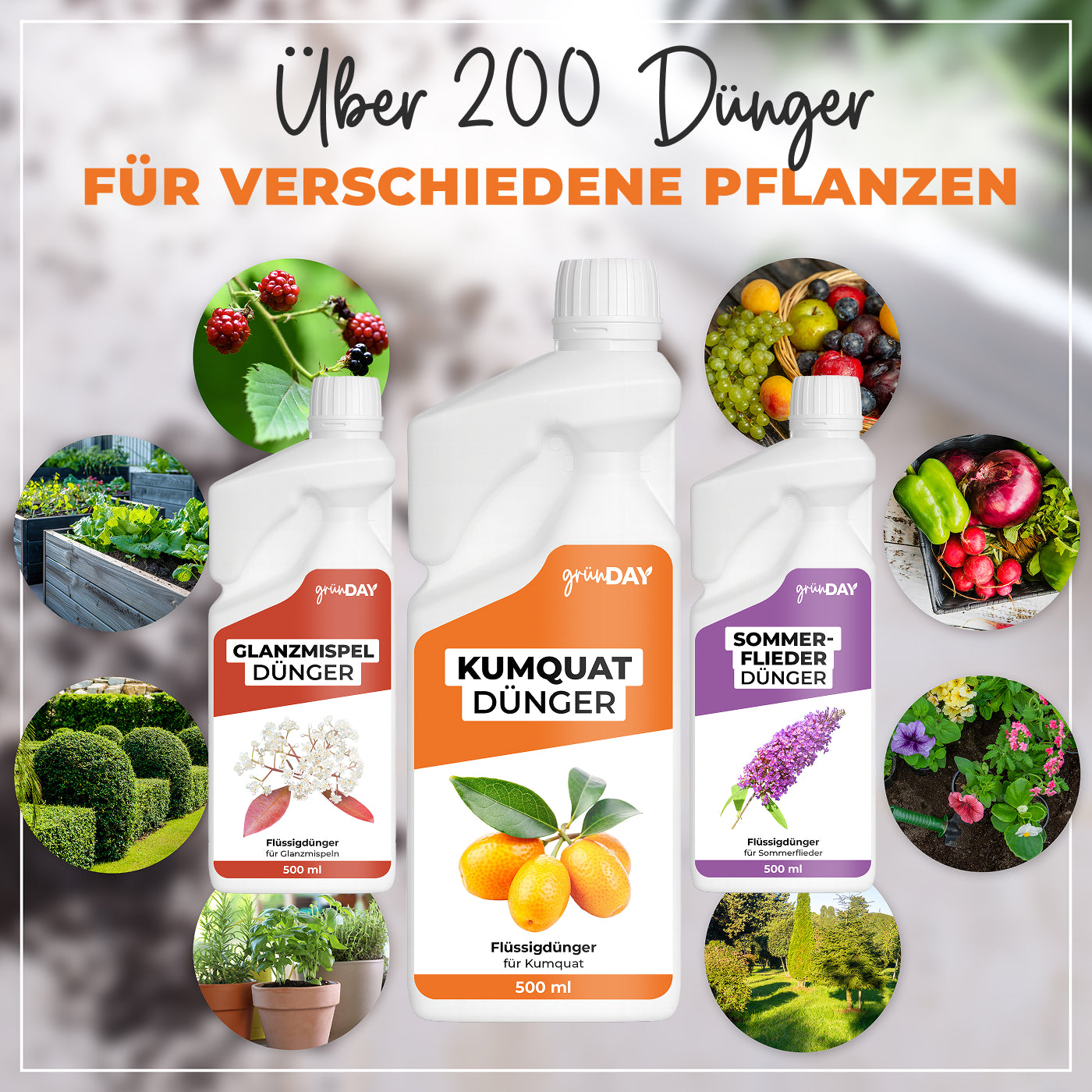 Gründay Kumquatdünger – Produktansicht 7