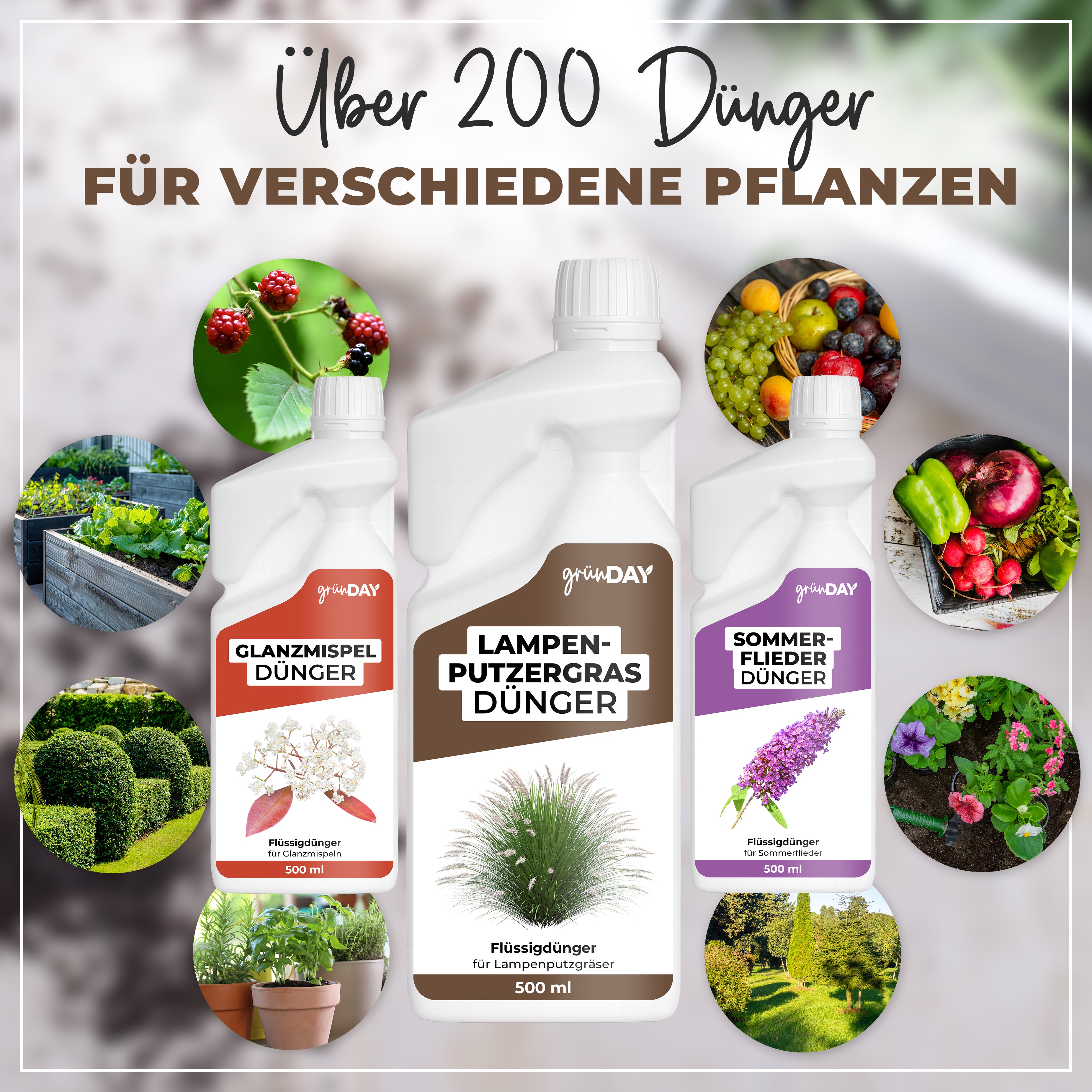 Gründay Lampenputzergrasdünger – Produktansicht 7