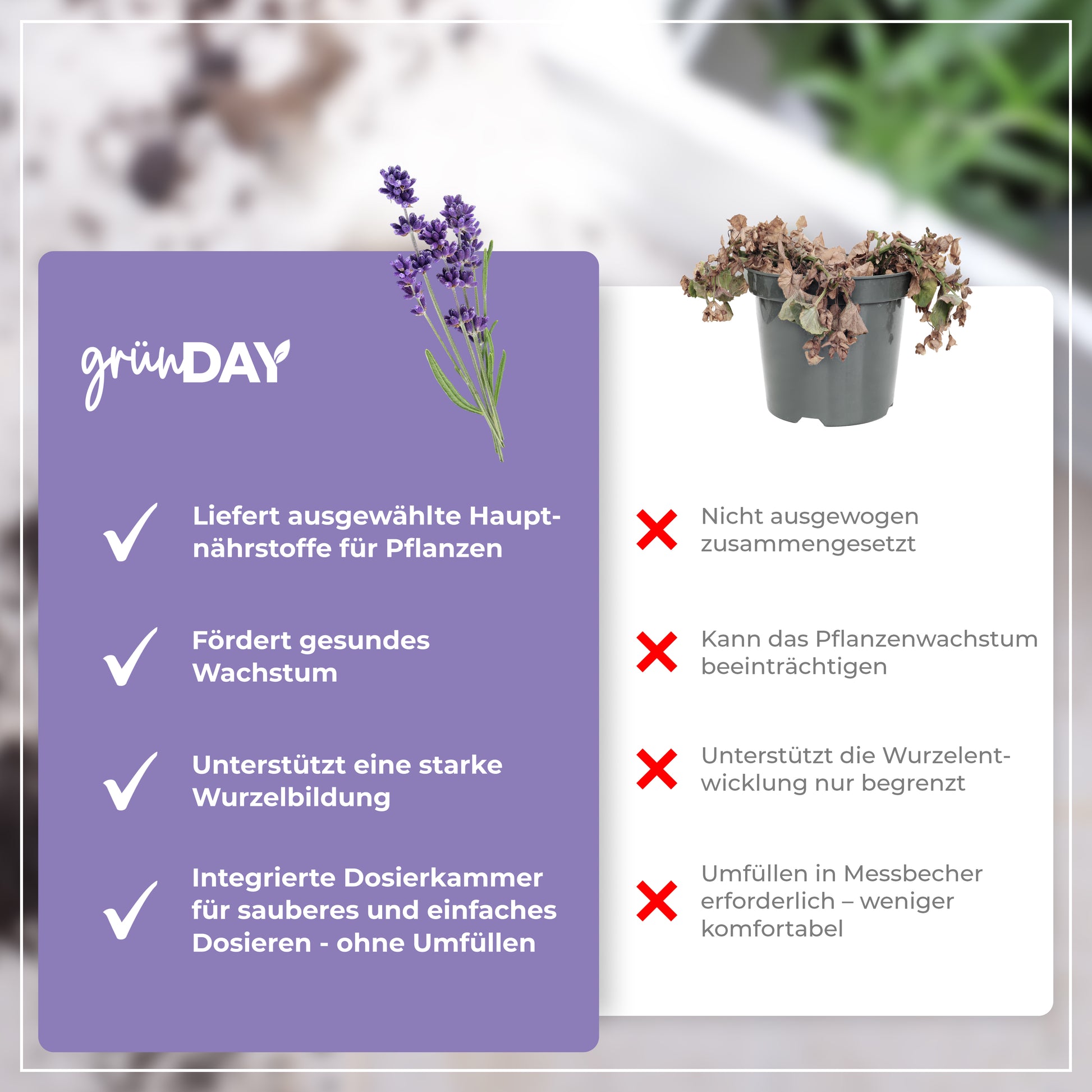 Gründay Lavendeldünger – Produktansicht 6