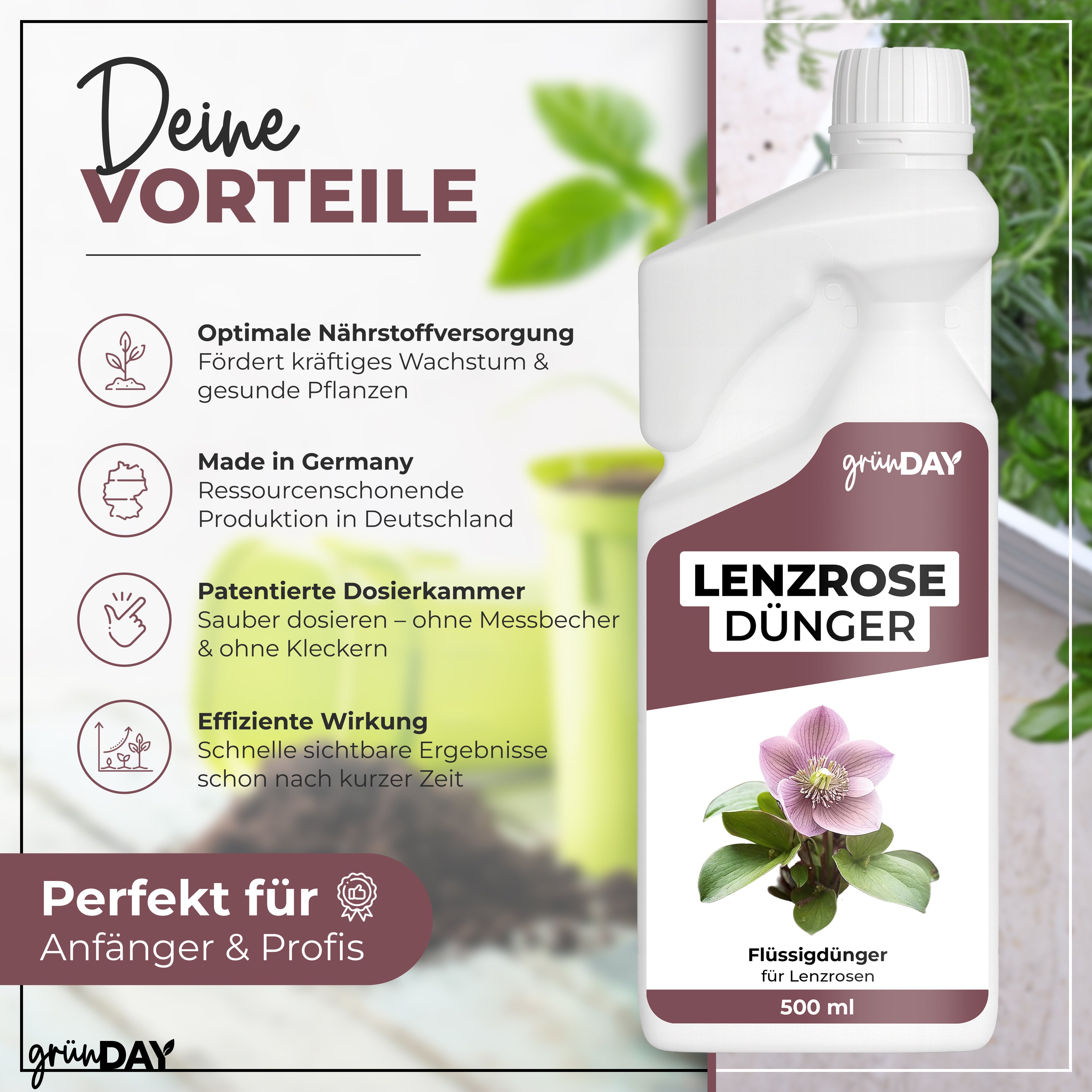 Gründay Lenzrose Dünger – Produktansicht 2