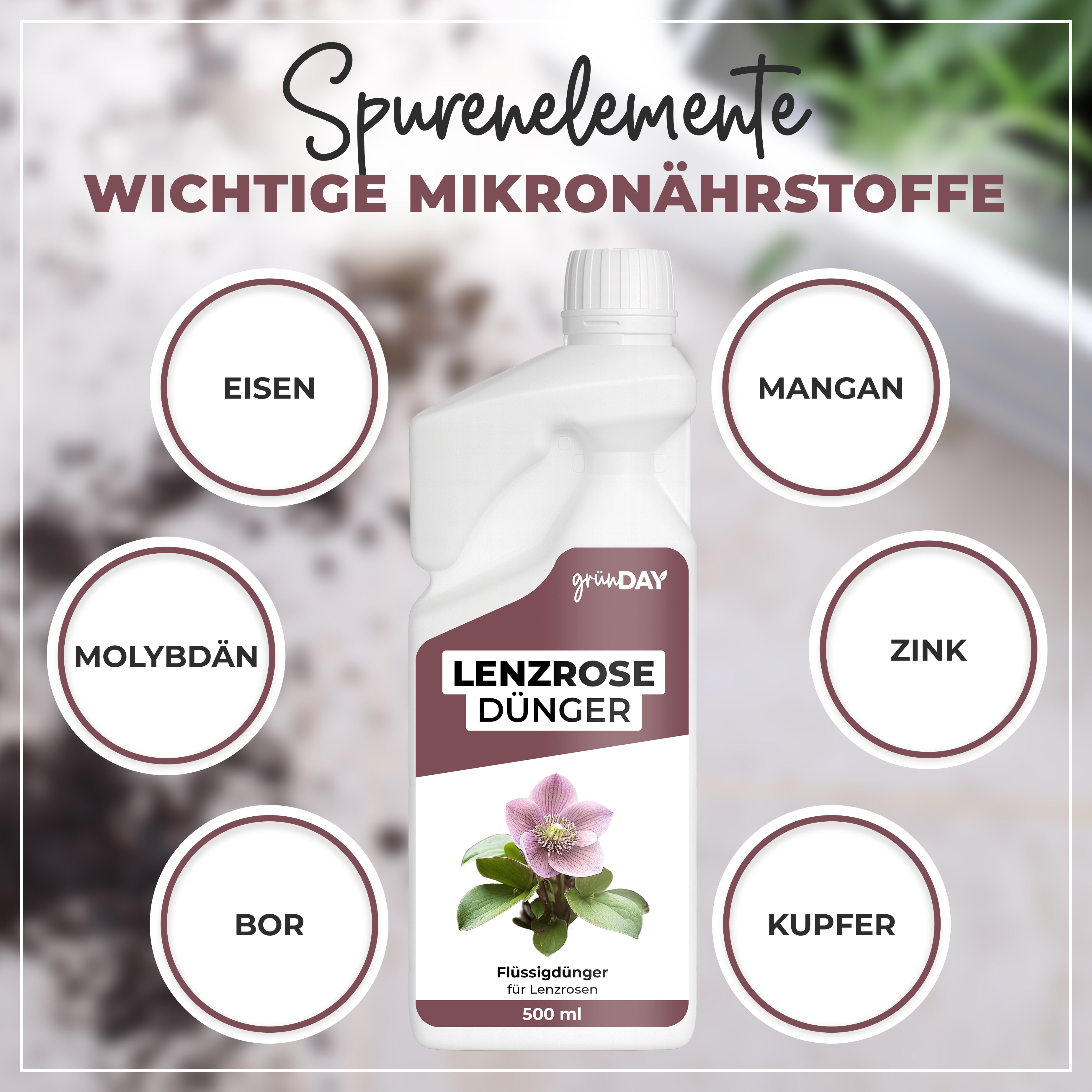 Gründay Lenzrose Dünger – Produktansicht 5