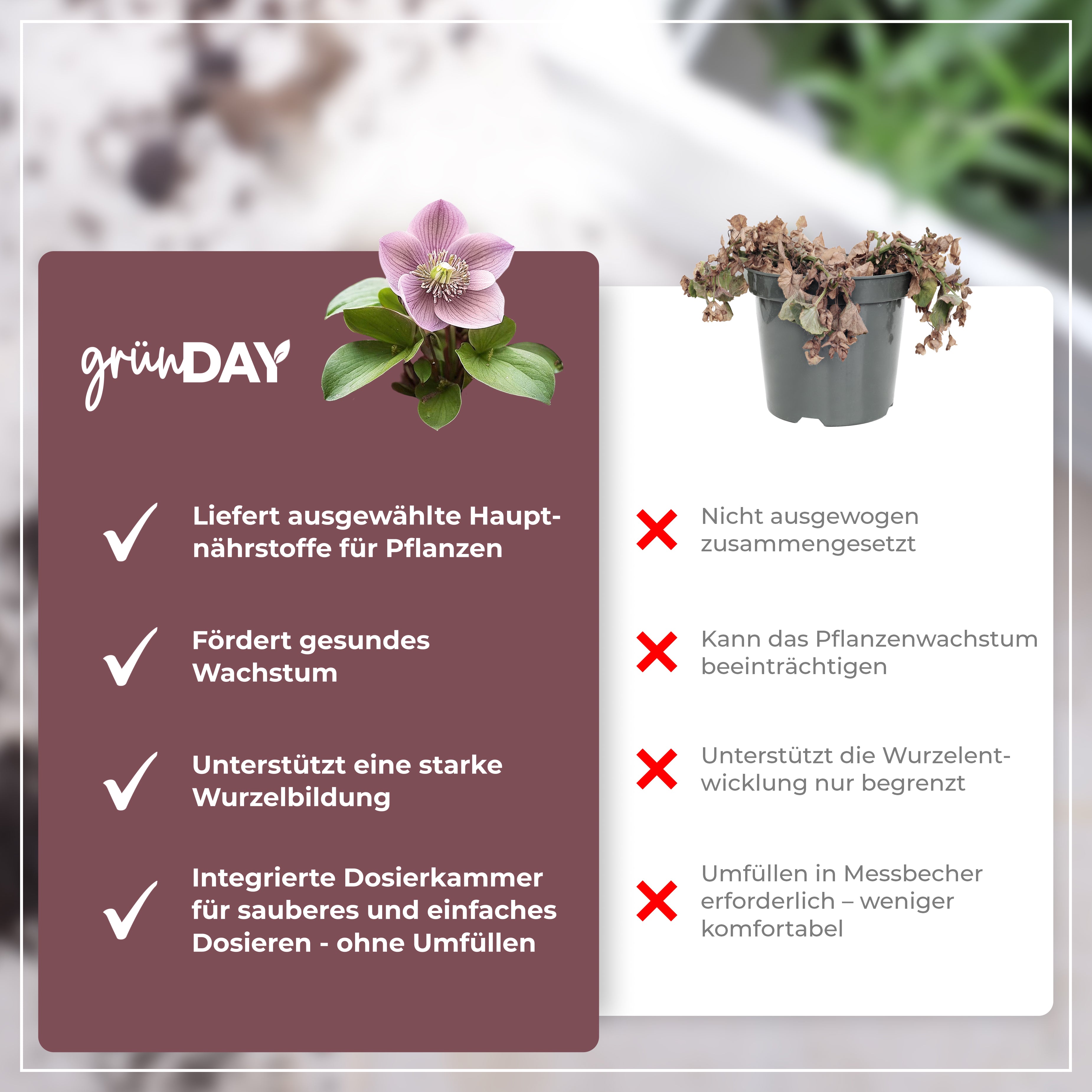 Gründay Lenzrose Dünger – Produktansicht 6