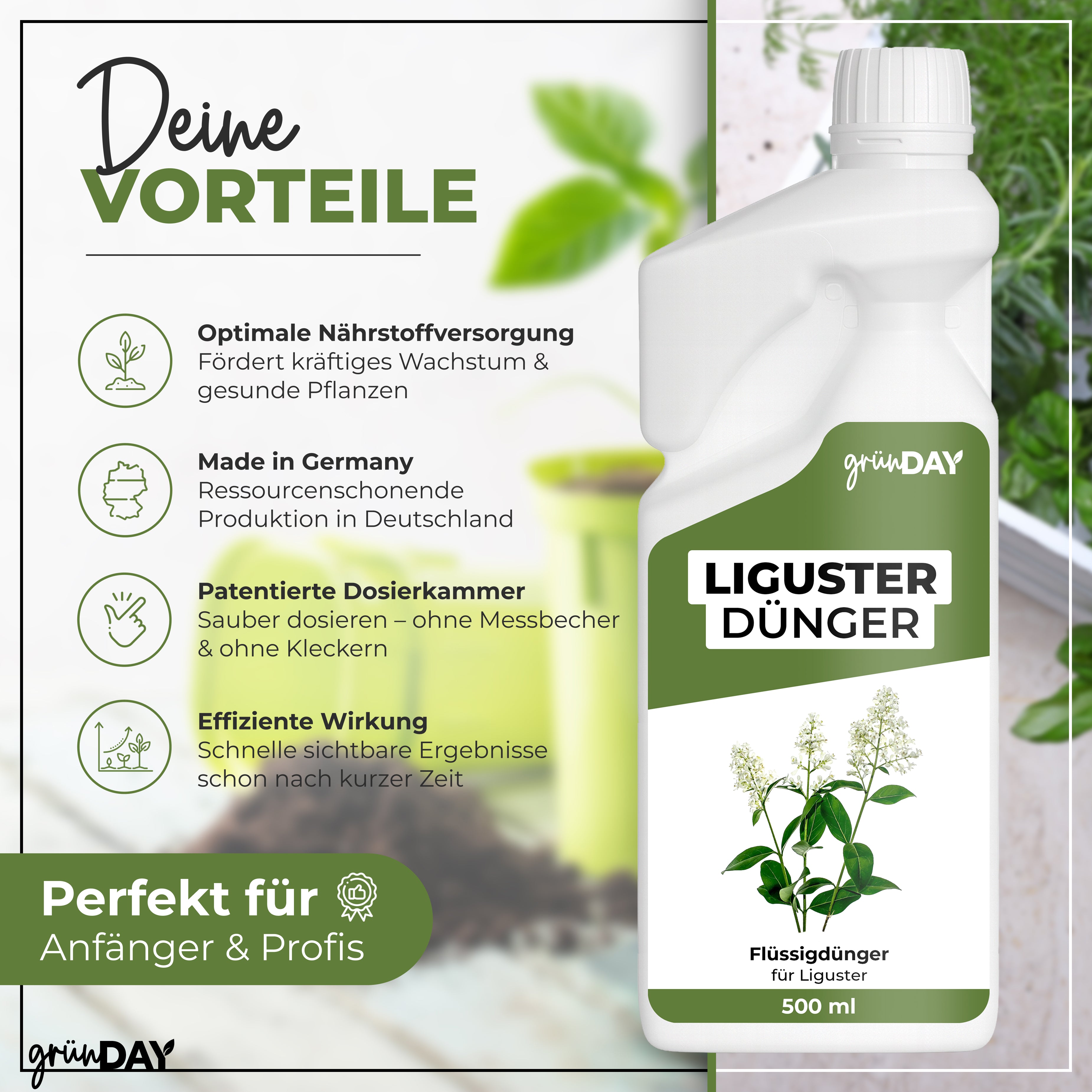 Gründay Ligusterdünger – Produktansicht 2