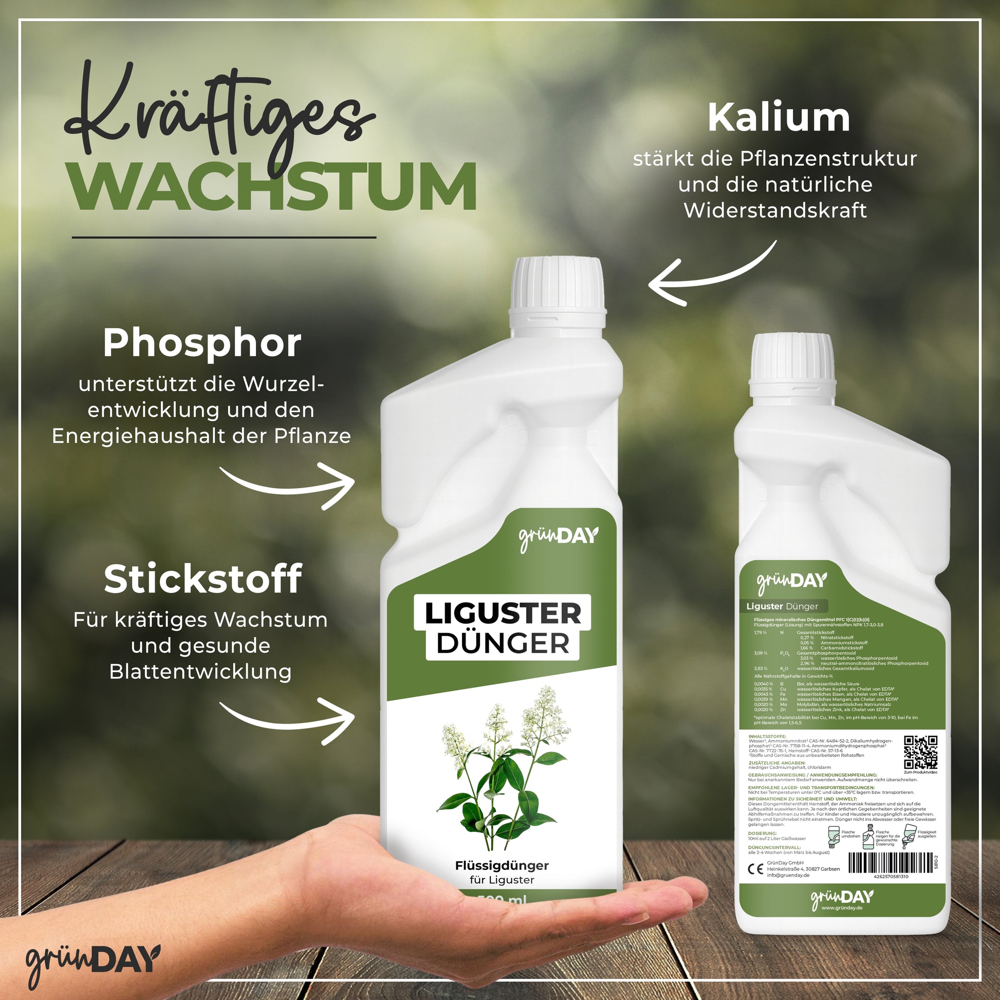 Gründay Ligusterdünger – Produktansicht 4