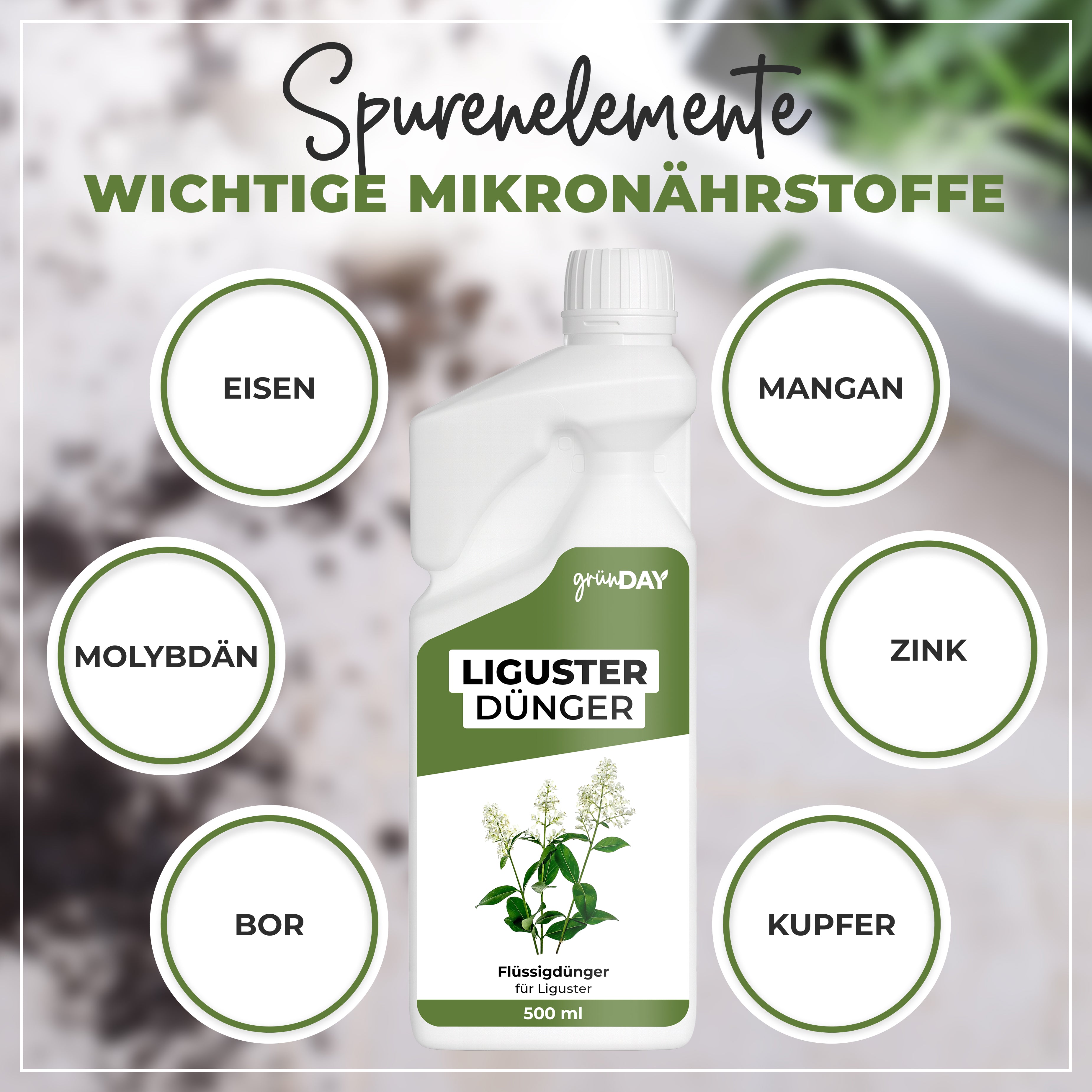 Gründay Ligusterdünger – Produktansicht 5