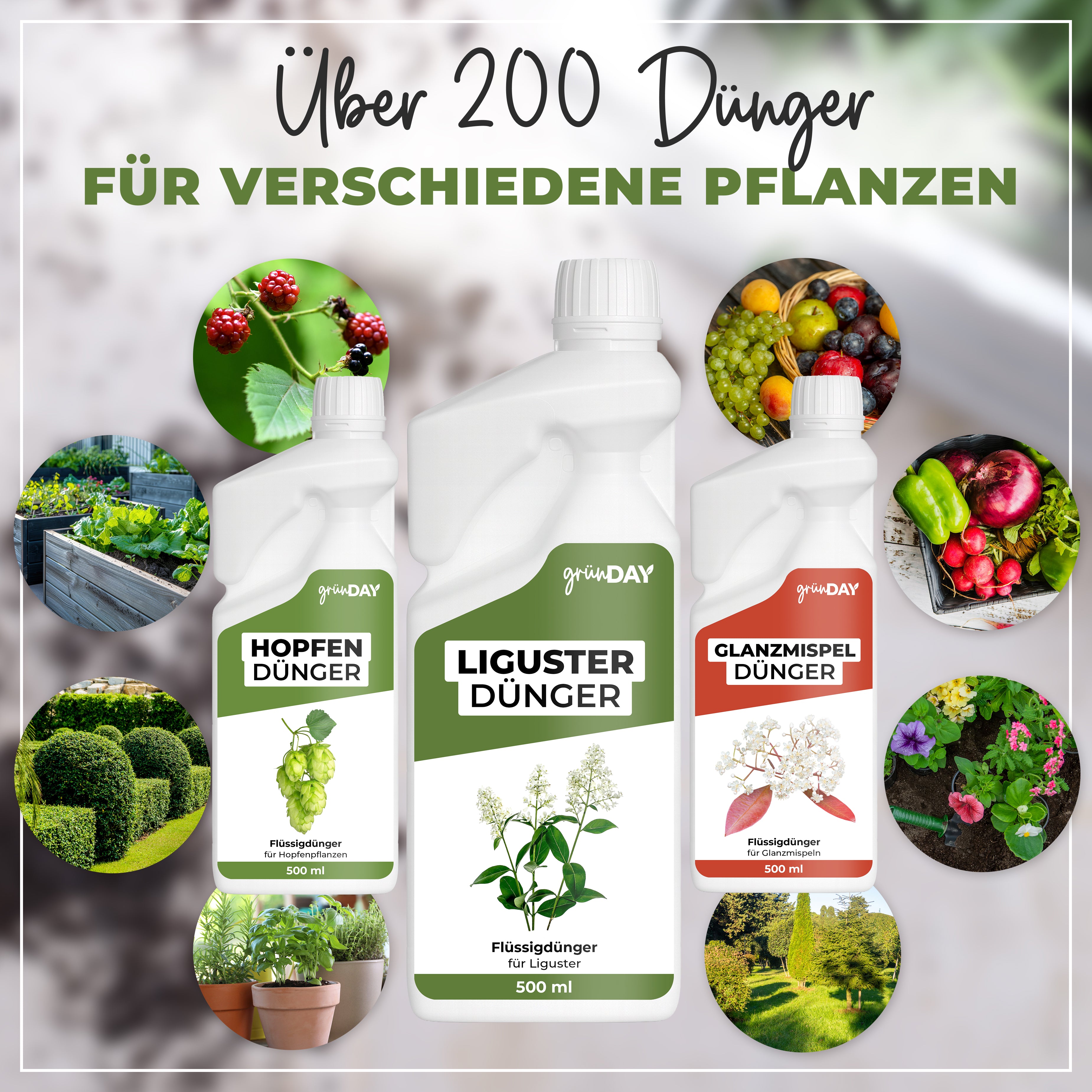 Gründay Ligusterdünger – Produktansicht 7