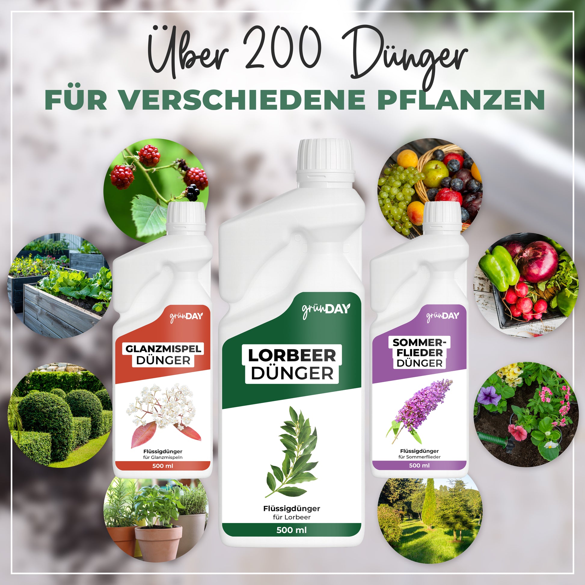 Gründay Lorbeerdünger – Produktansicht 7