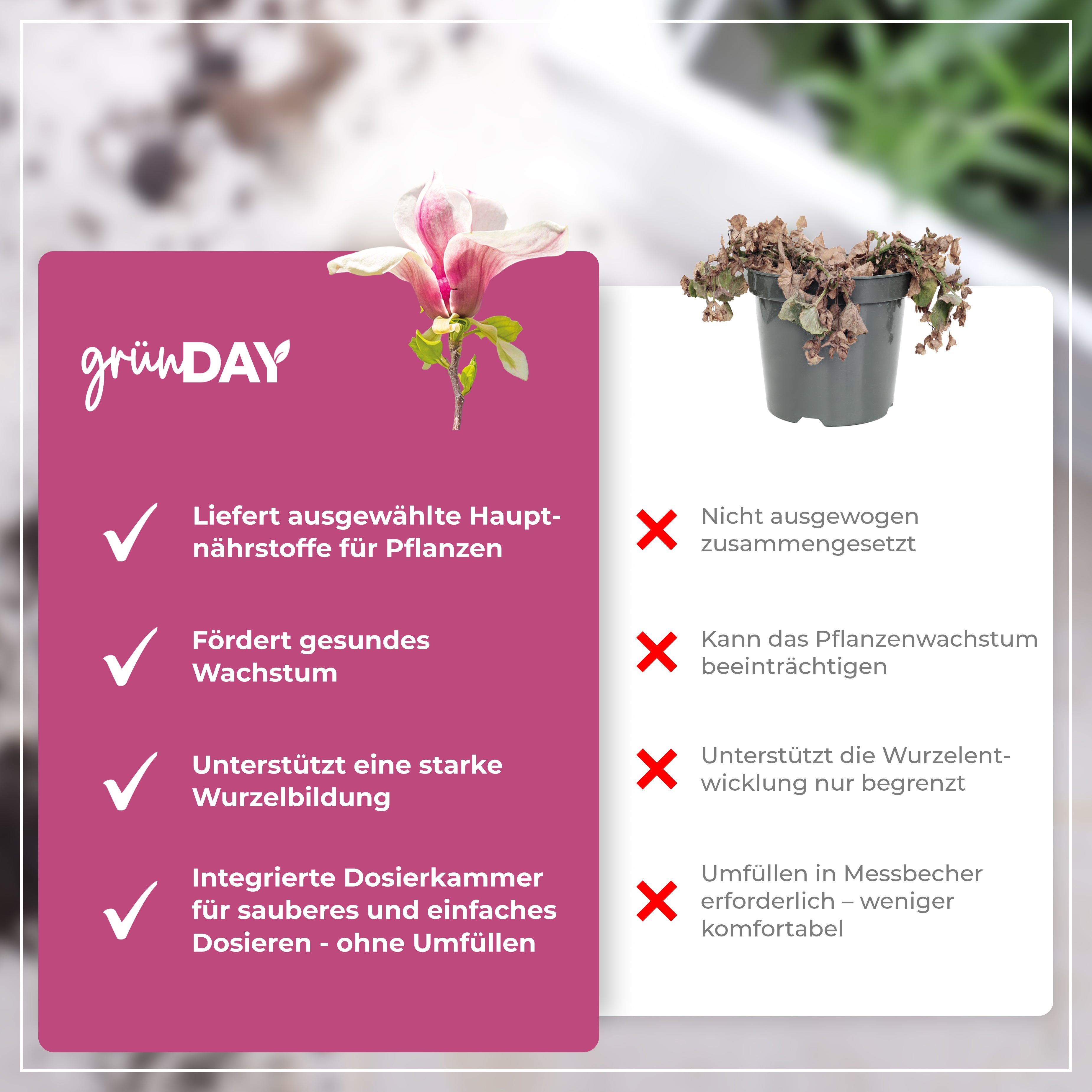 Gründay Magnoliendünger – Produktansicht 6