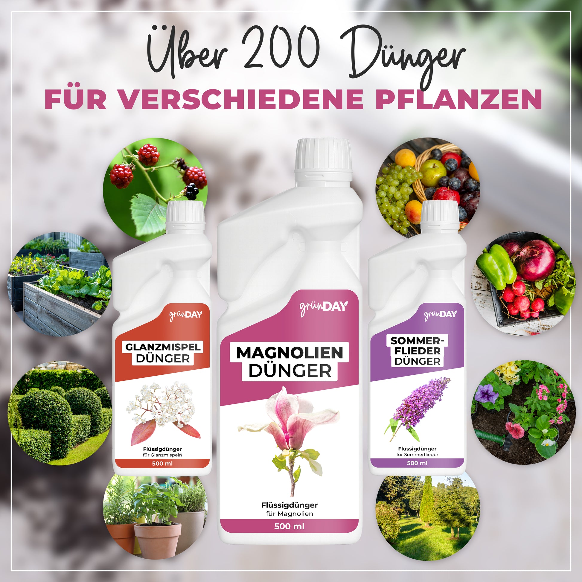 Gründay Magnoliendünger – Produktansicht 7