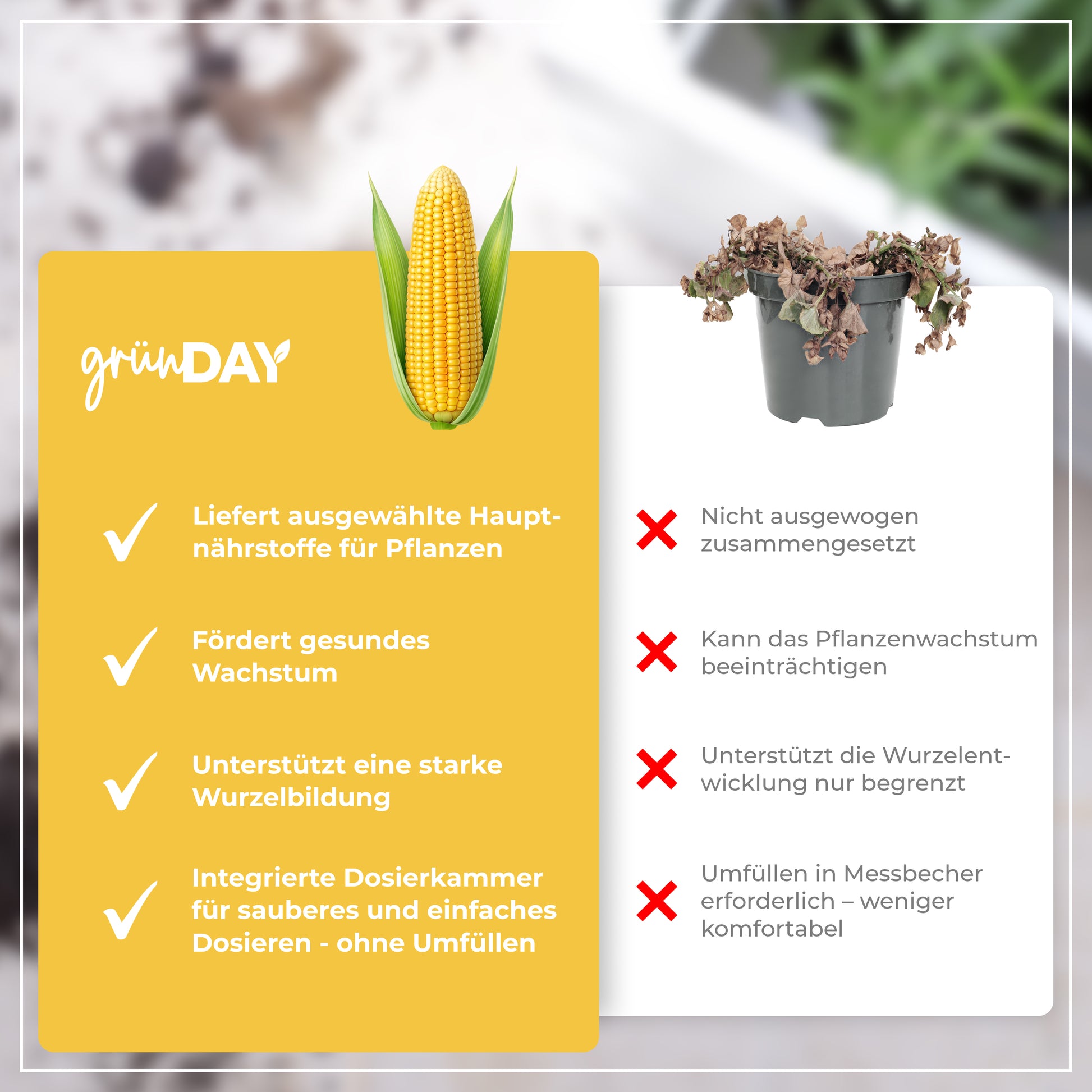 Gründay Maisdünger – Produktansicht 6