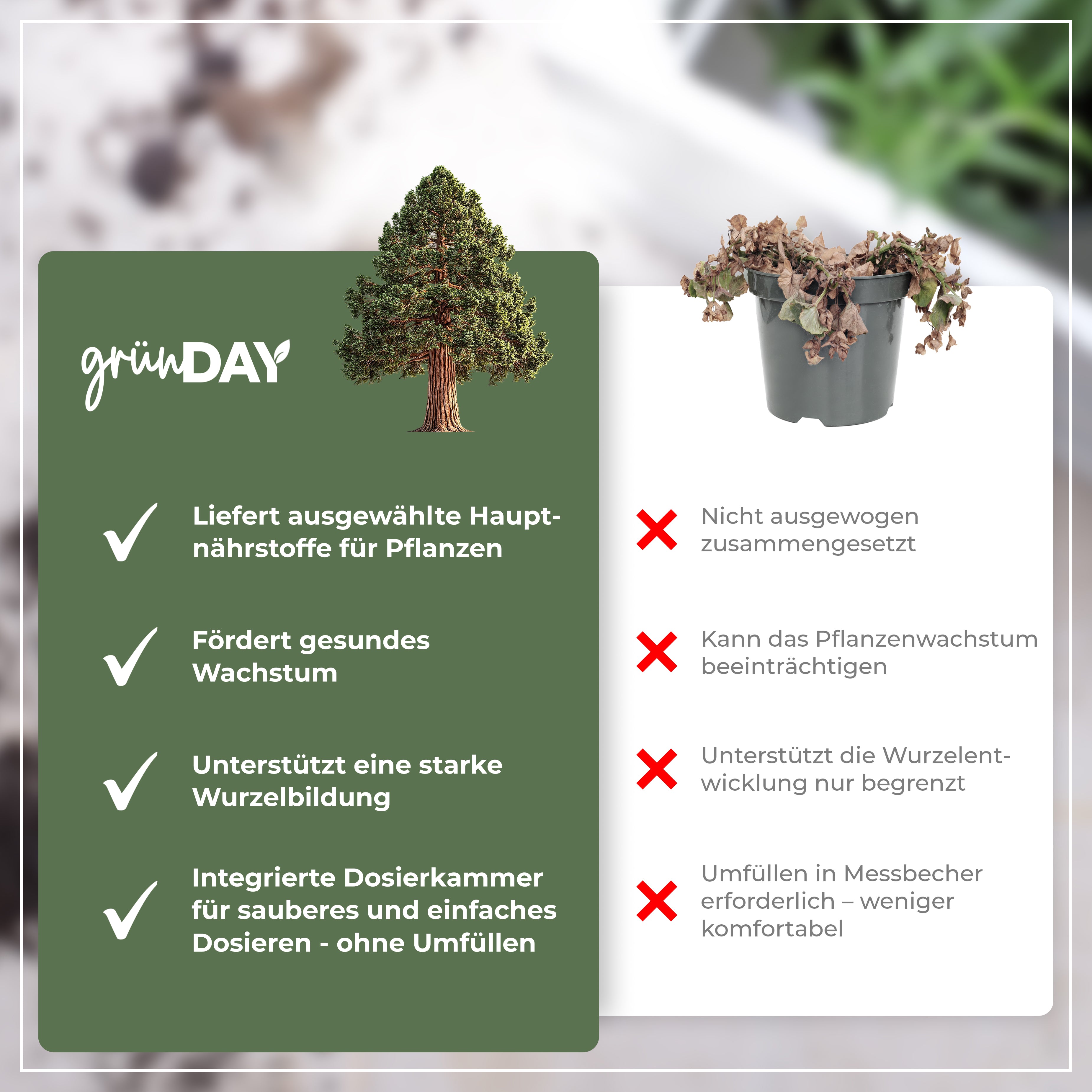 Gründay Mammutbaumdünger – Produktansicht 6