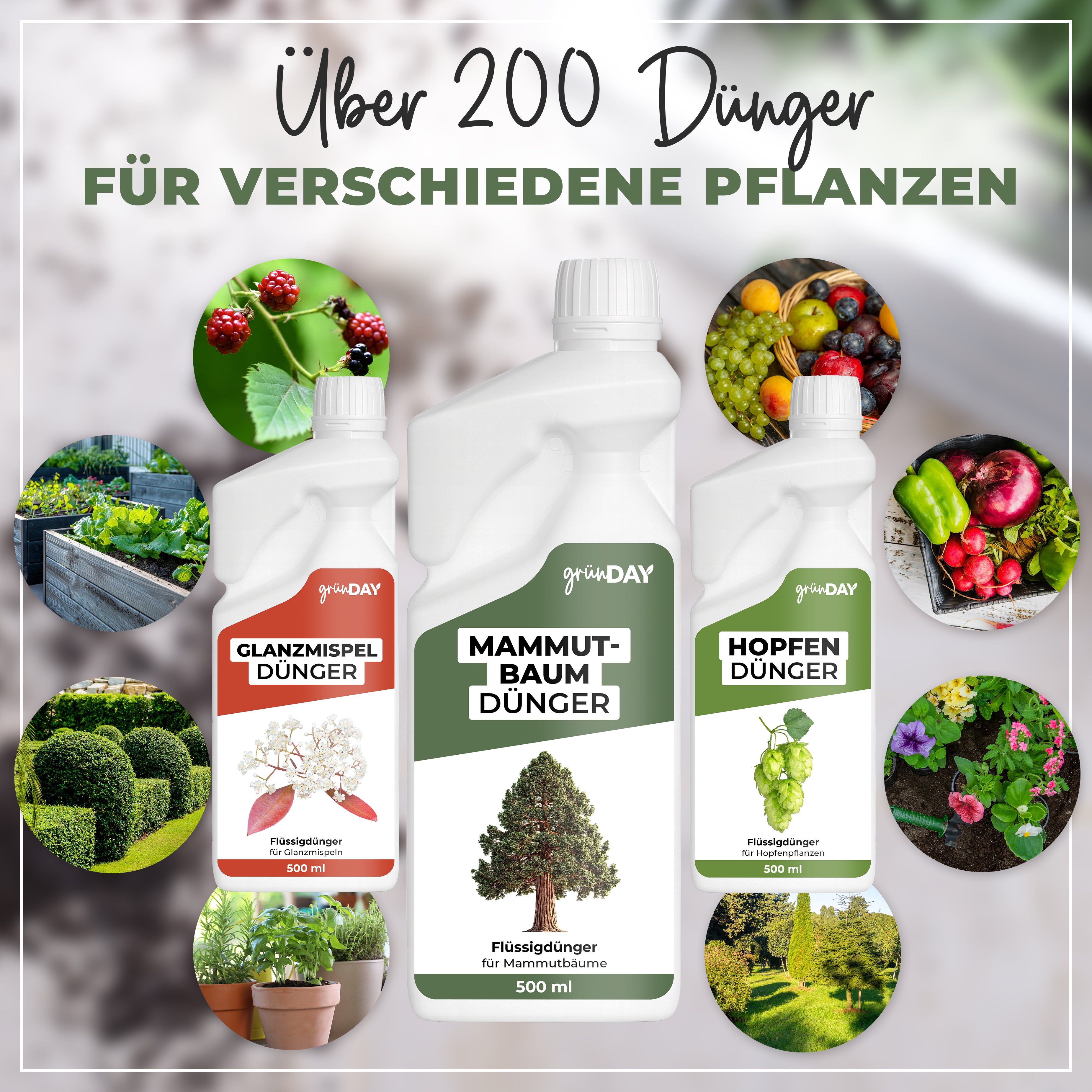 Gründay Mammutbaumdünger – Produktansicht 7
